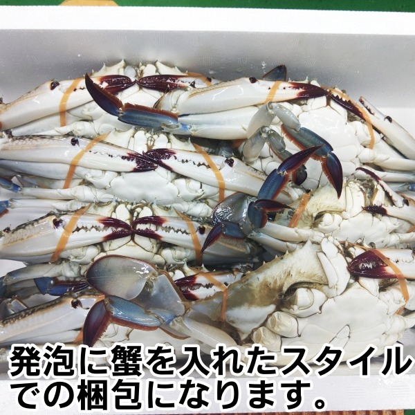 4kg活梱包！訳ありワタリガニ🦀✨ オスメス混合！日本三景松島産