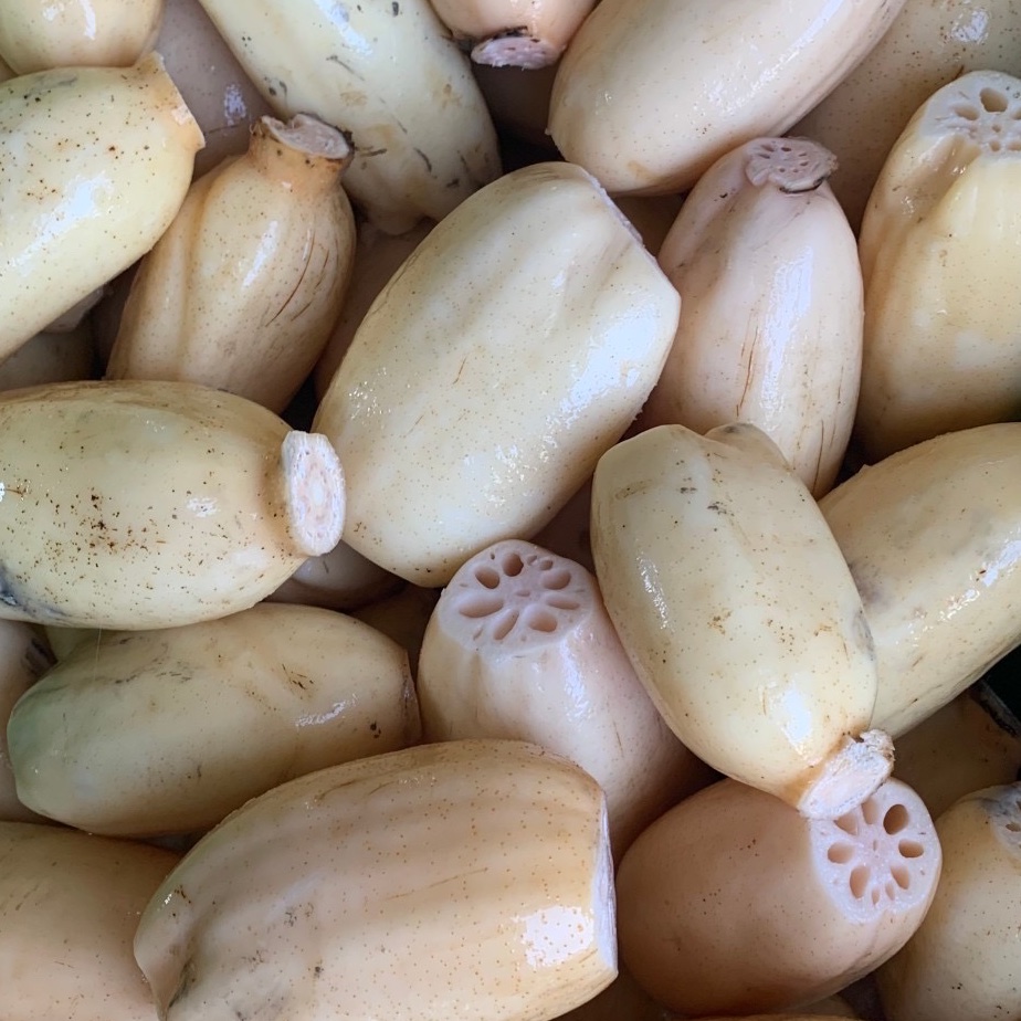 連島れんこん ｜ 野菜/蓮根 産直アウル 農家・漁師など生産者から直接