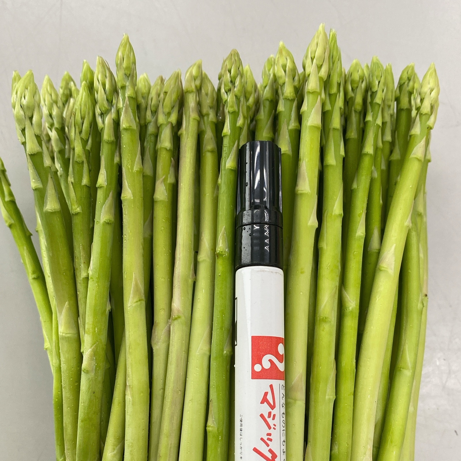 長崎産アスパラガスB品 細め 6キロ 長崎産アスパラガスB品 細め 6キロ 長崎産アスパラガス3L.2Lサイズ