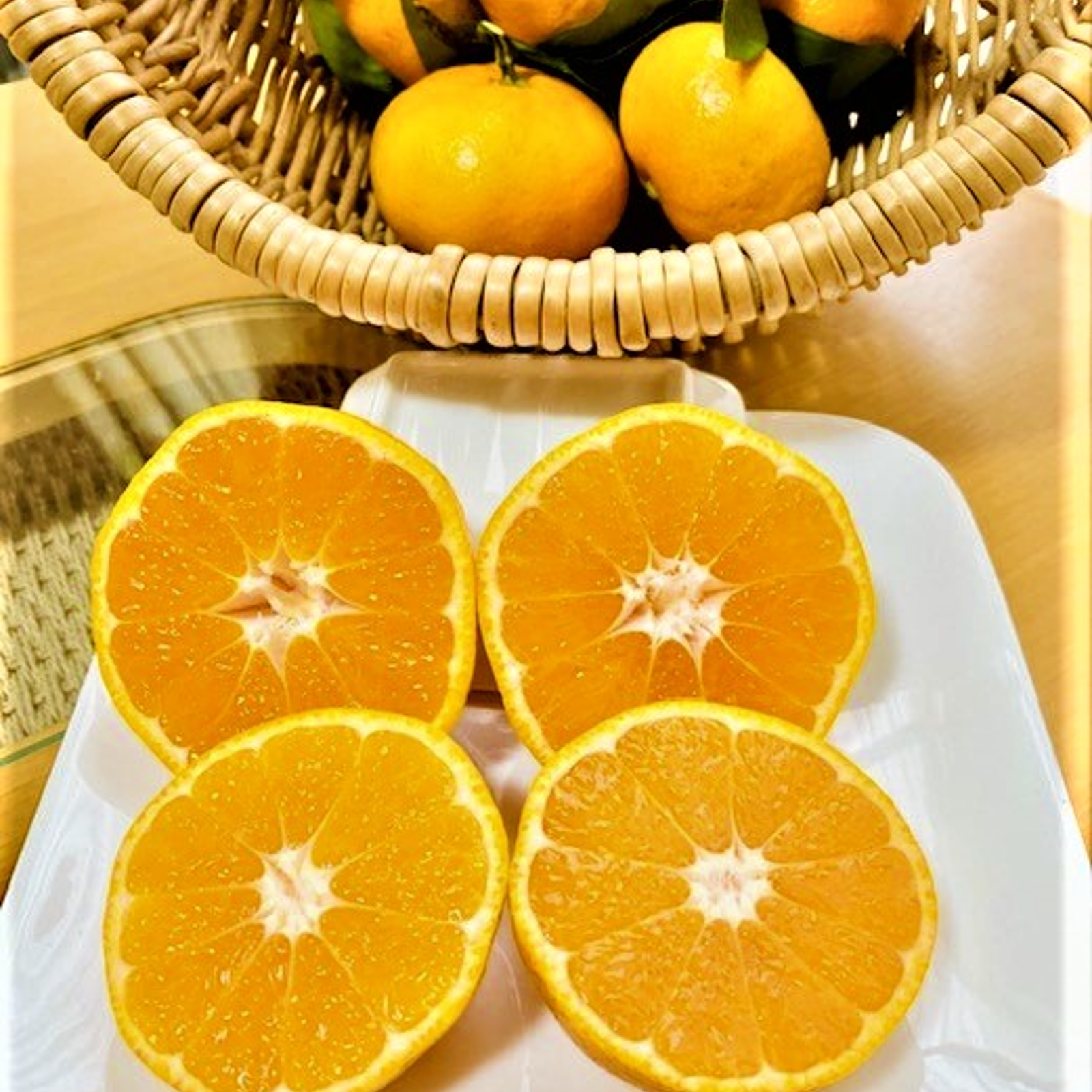 家庭用 ほどよい酸味と甘さ！熊本みかん 青島みかん10kg箱込み