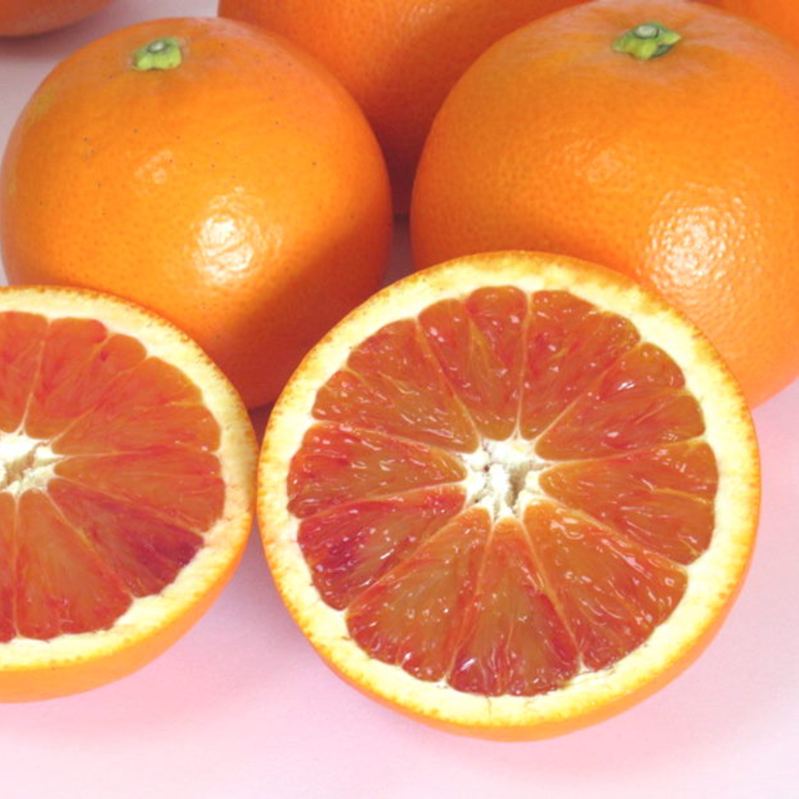 10㎏ タロッコ 81愛媛県産 ブラッドオレンジ