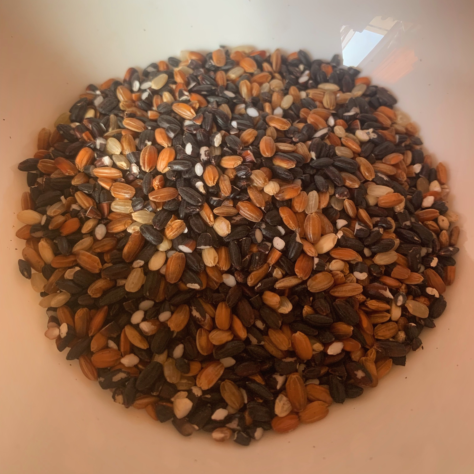 古代米ブレンド1kg＋平飼い有精卵（10個入×6パック） ｜ 米・穀物 