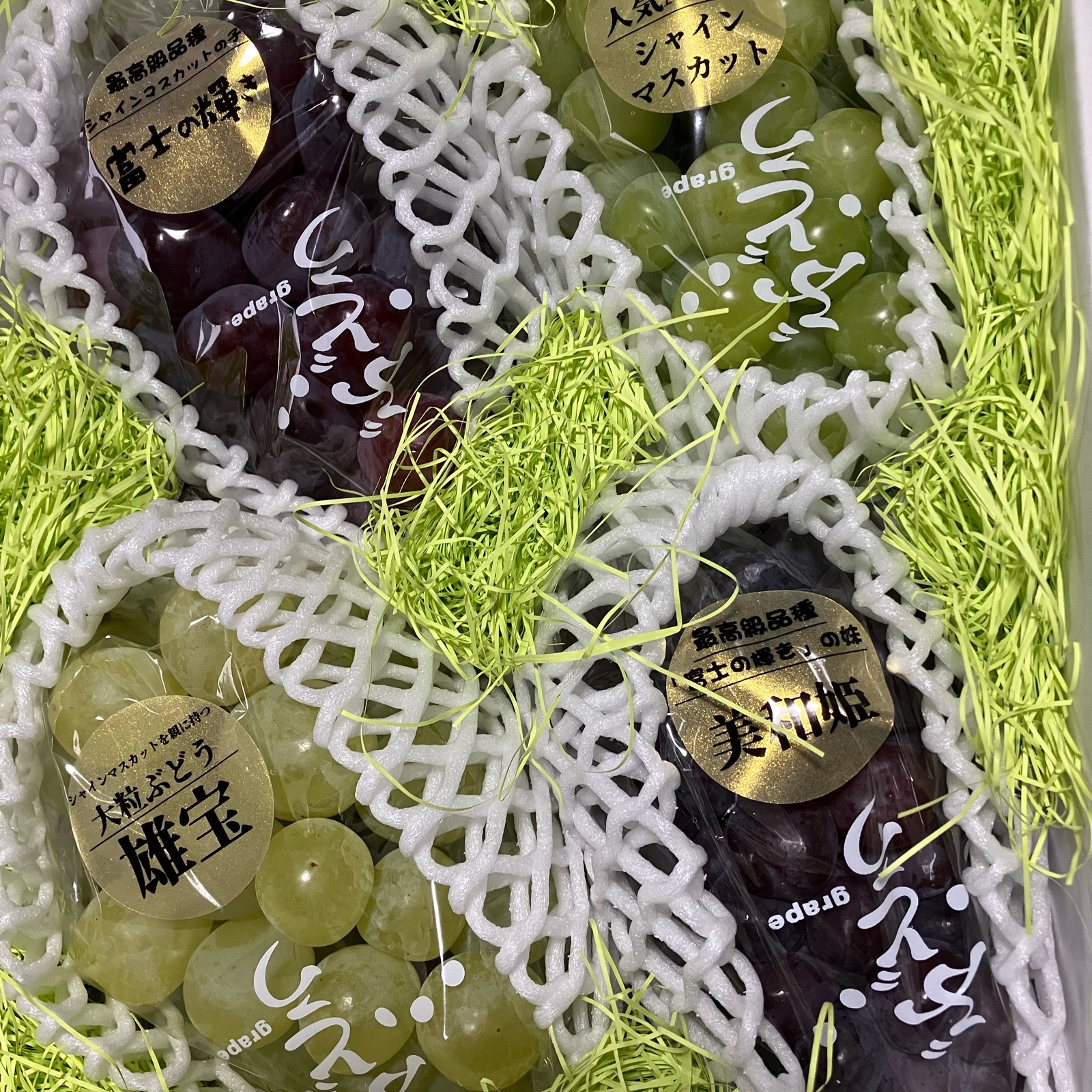 超高級4種ぶどう親子食べ比べセット！超希少新品種富士の輝、美和姫 
