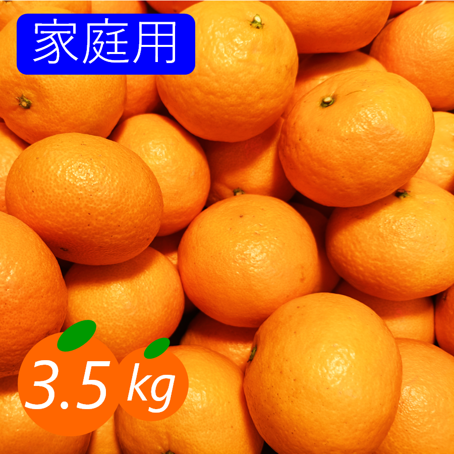 家庭用】カラマンダリン 3.5kg 春みかん 濃厚な味わい 愛媛みかん