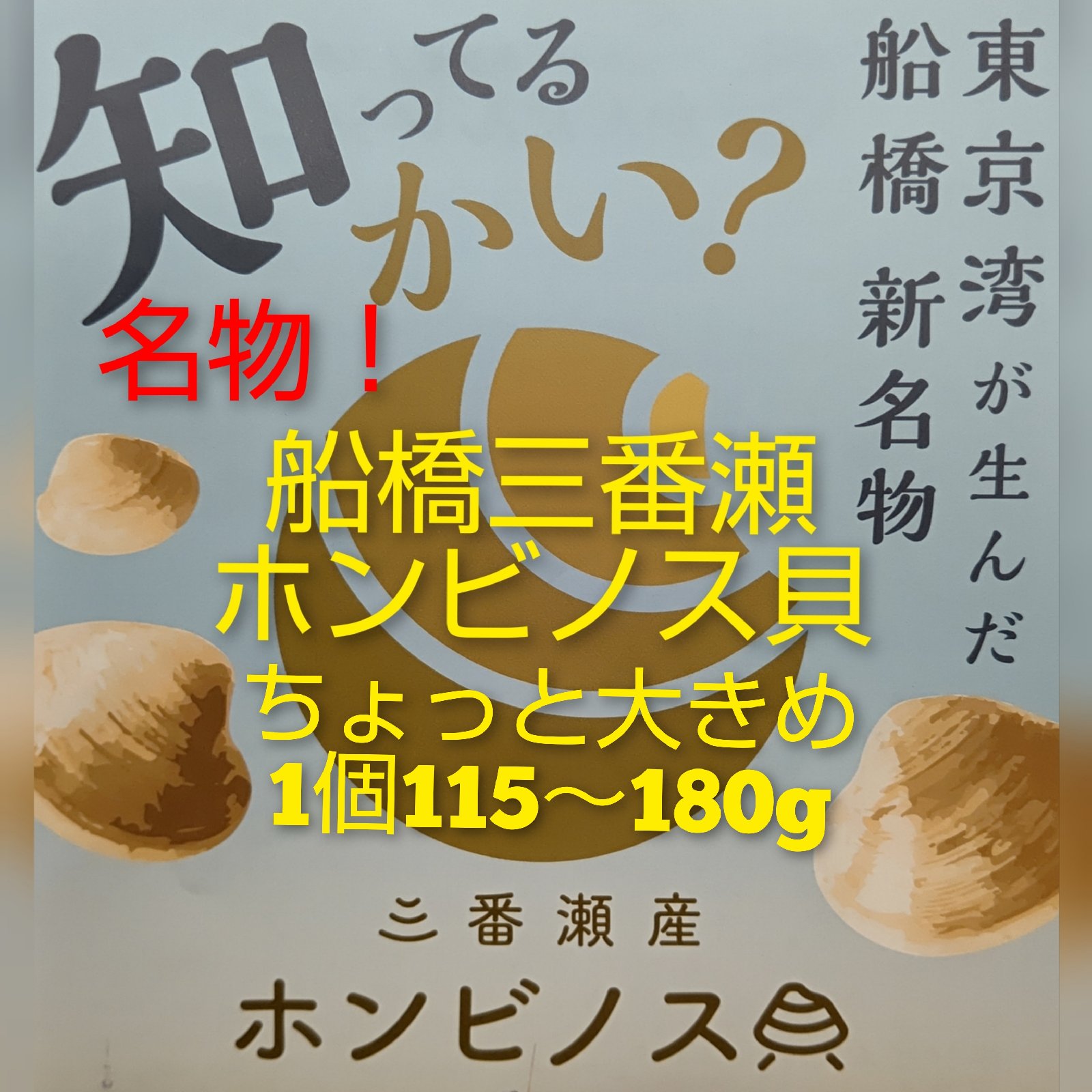 船橋三番瀬ホンビノス貝BBQにオススメサイズ！ | 魚介類