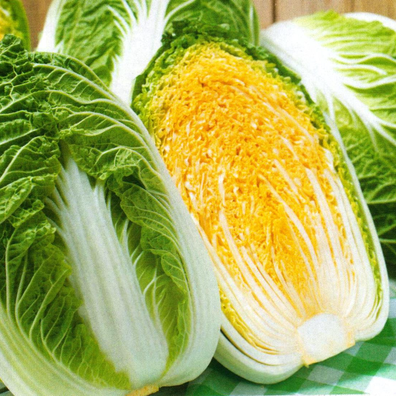 農薬不使用栽培 オレンジ白菜2玉セット ｜ 野菜/白菜 産直アウル 農家 