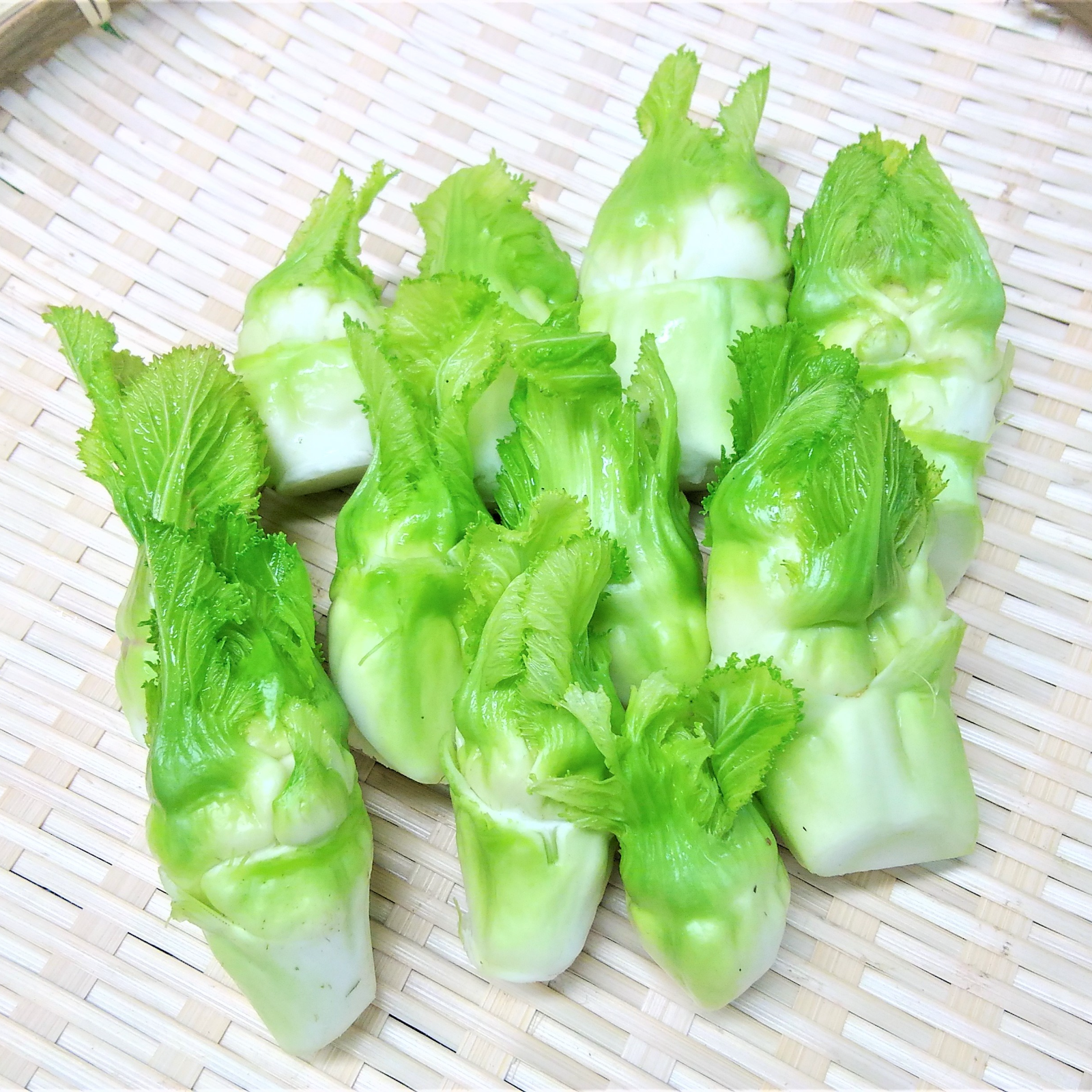 子持ち高菜（蕾菜） 1kgセット | 野菜/その他野菜 産直アウル 農家から