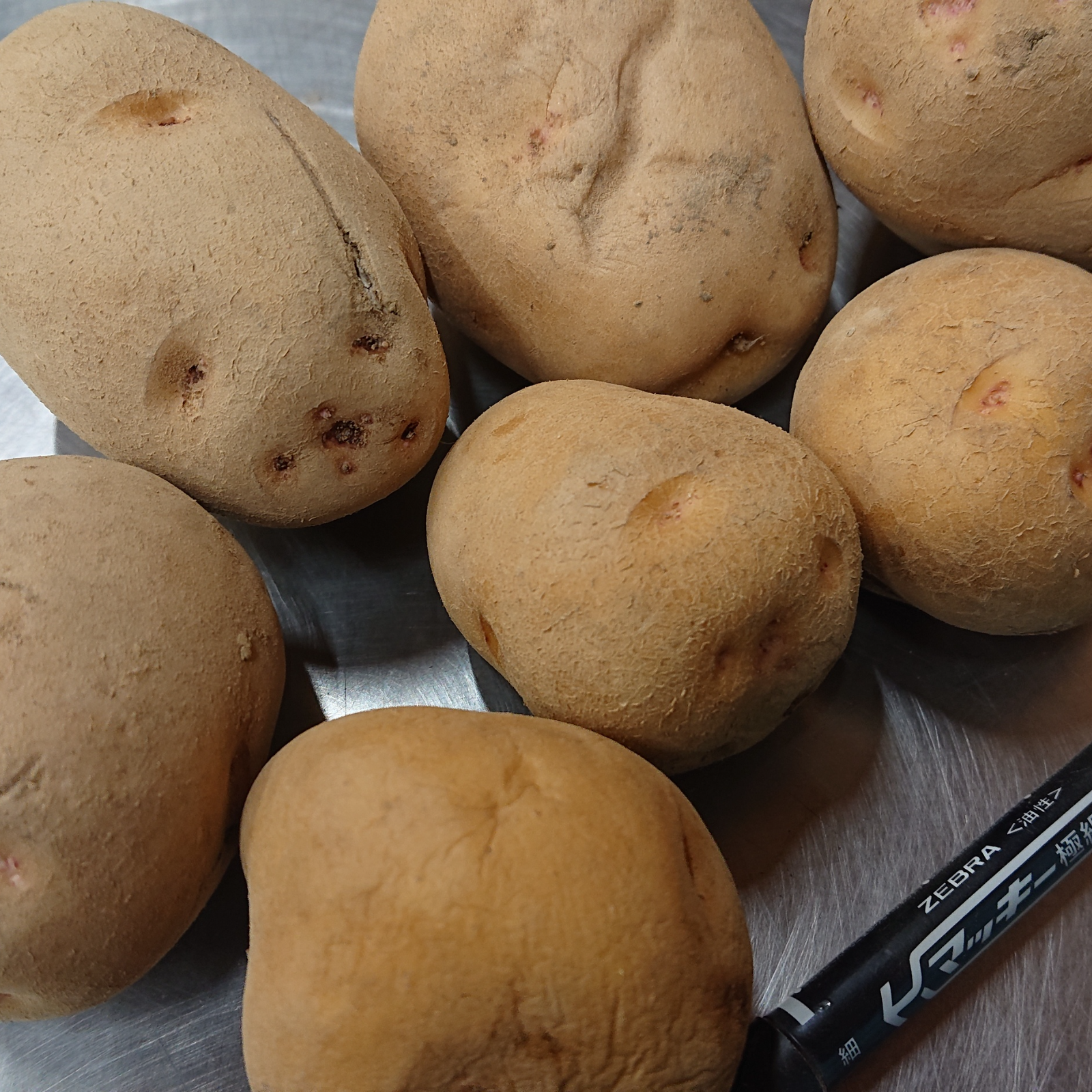 訳あり】北海道産とうや20 ｜ 野菜/じゃがいも 産直アウル 農家・漁師