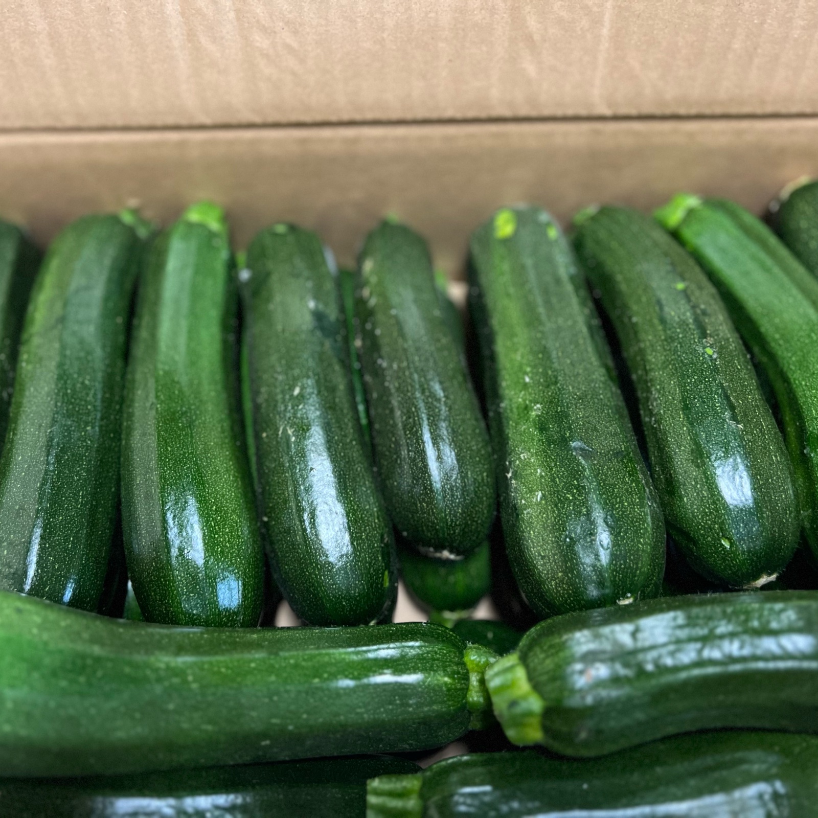 ズッキーニ 群馬県東吾妻町産【訳あり】ズッキーニ 8kg ｜ 野菜/ズッキーニ 産直