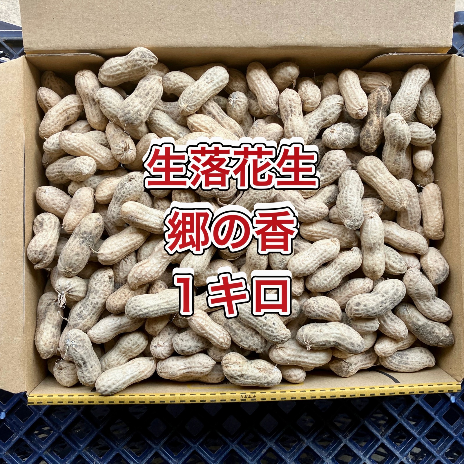 鹿児島産】甘塩生落花生箱込み1キロ^_^ ｜ 野菜/豆類 産直アウル 農家