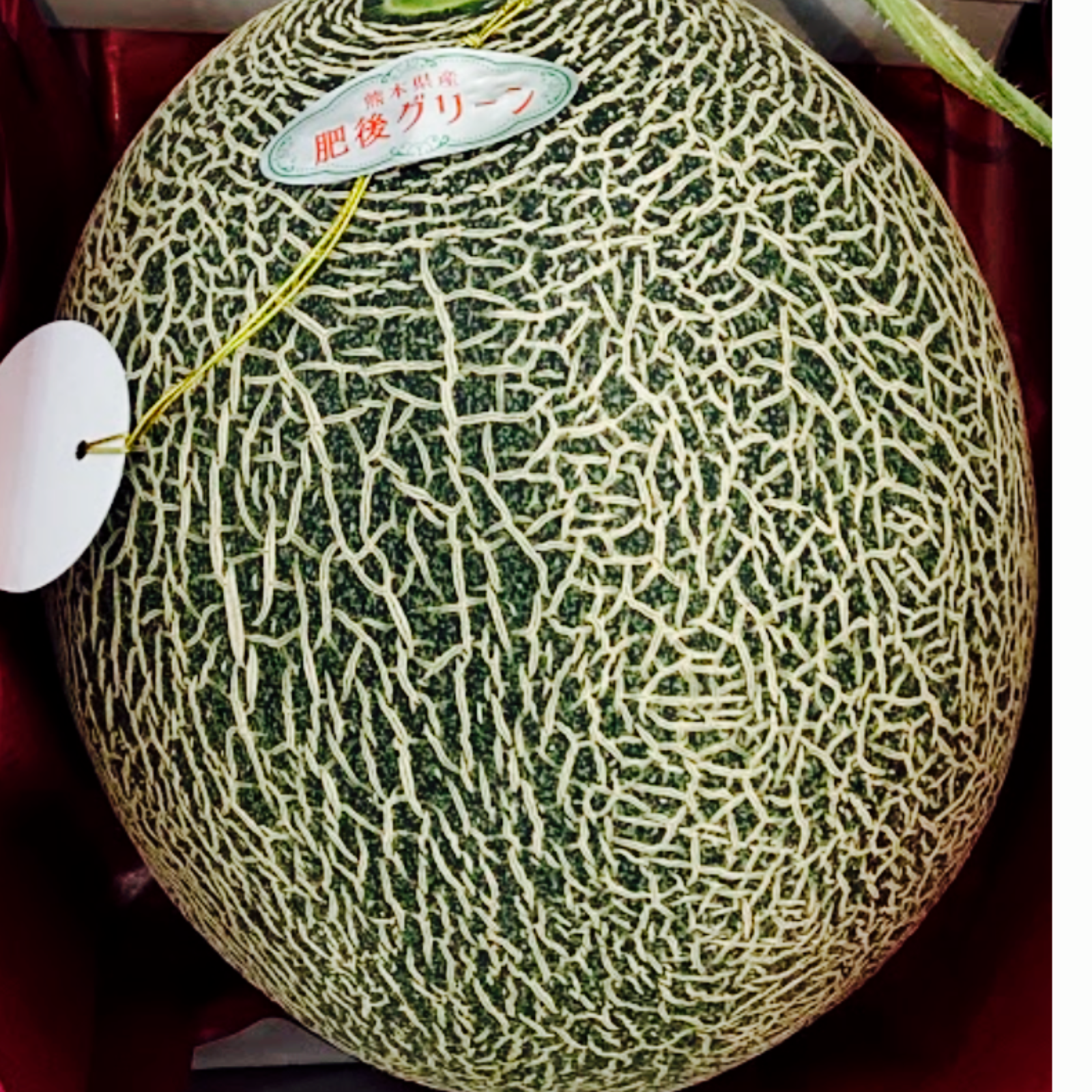 果物　フルーツ　メロン　肥後グリーンメロン　お得　甘さ　10kg 選果落ち 訳あり商品】熊本 産地直送 肥後グリーン メロン 青肉