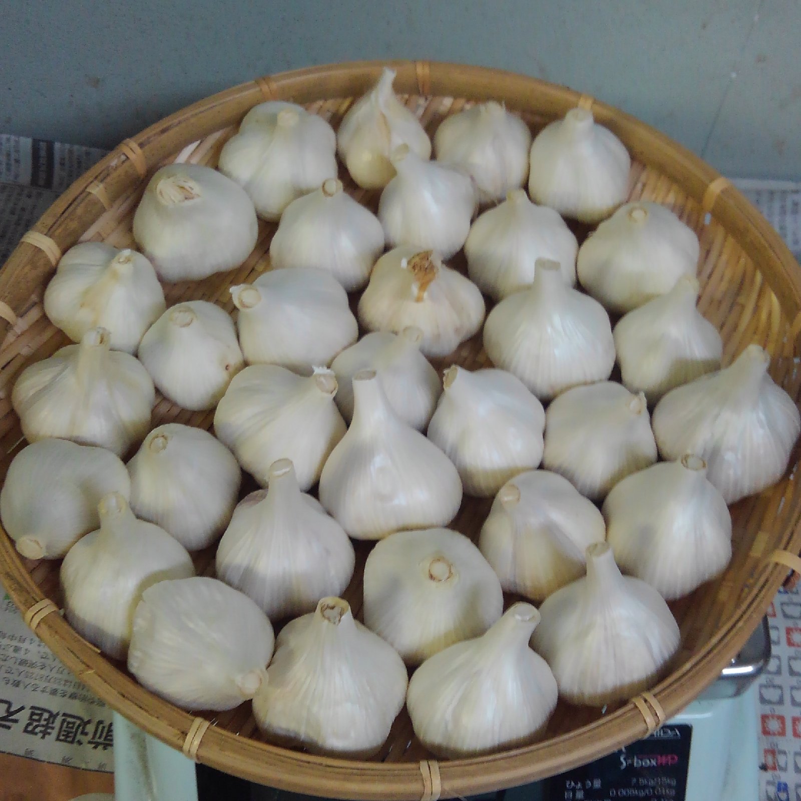 国産Mサイズ！】風味抜群！香川県産にんにく2kg ｜ 野菜/にんにく 産直
