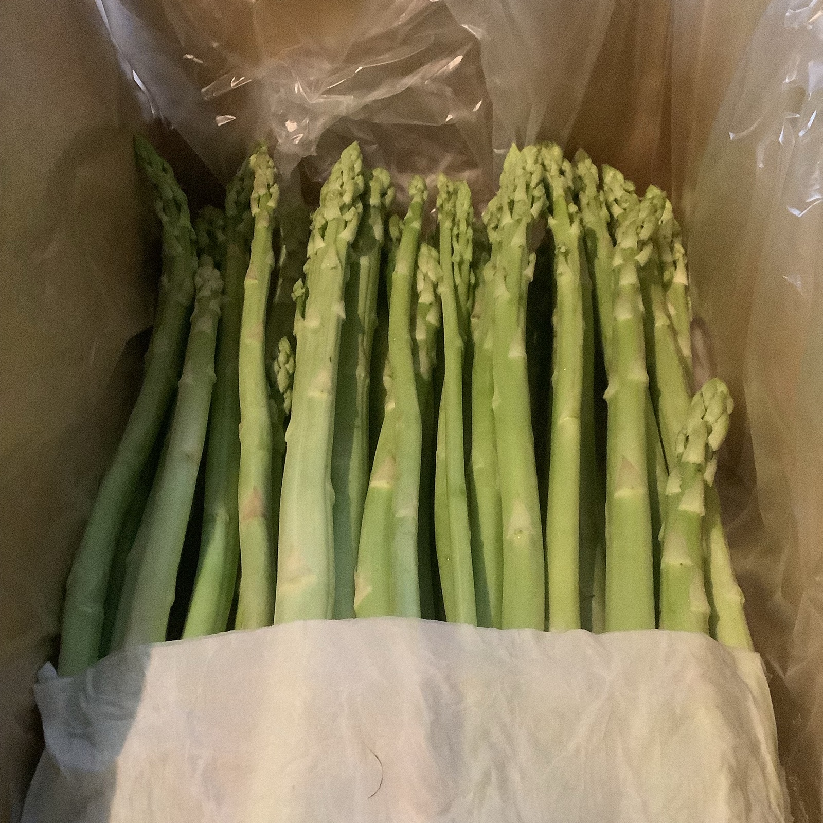 訳ありアスパラ約500g ｜ 野菜/アスパラガス 産直アウル 農家・漁師 