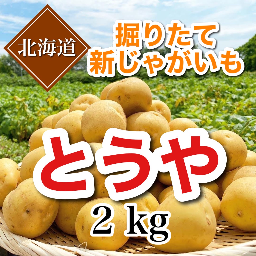 調理に万能『とうや』北海道産じゃがいも | 野菜/じゃがいも 産直