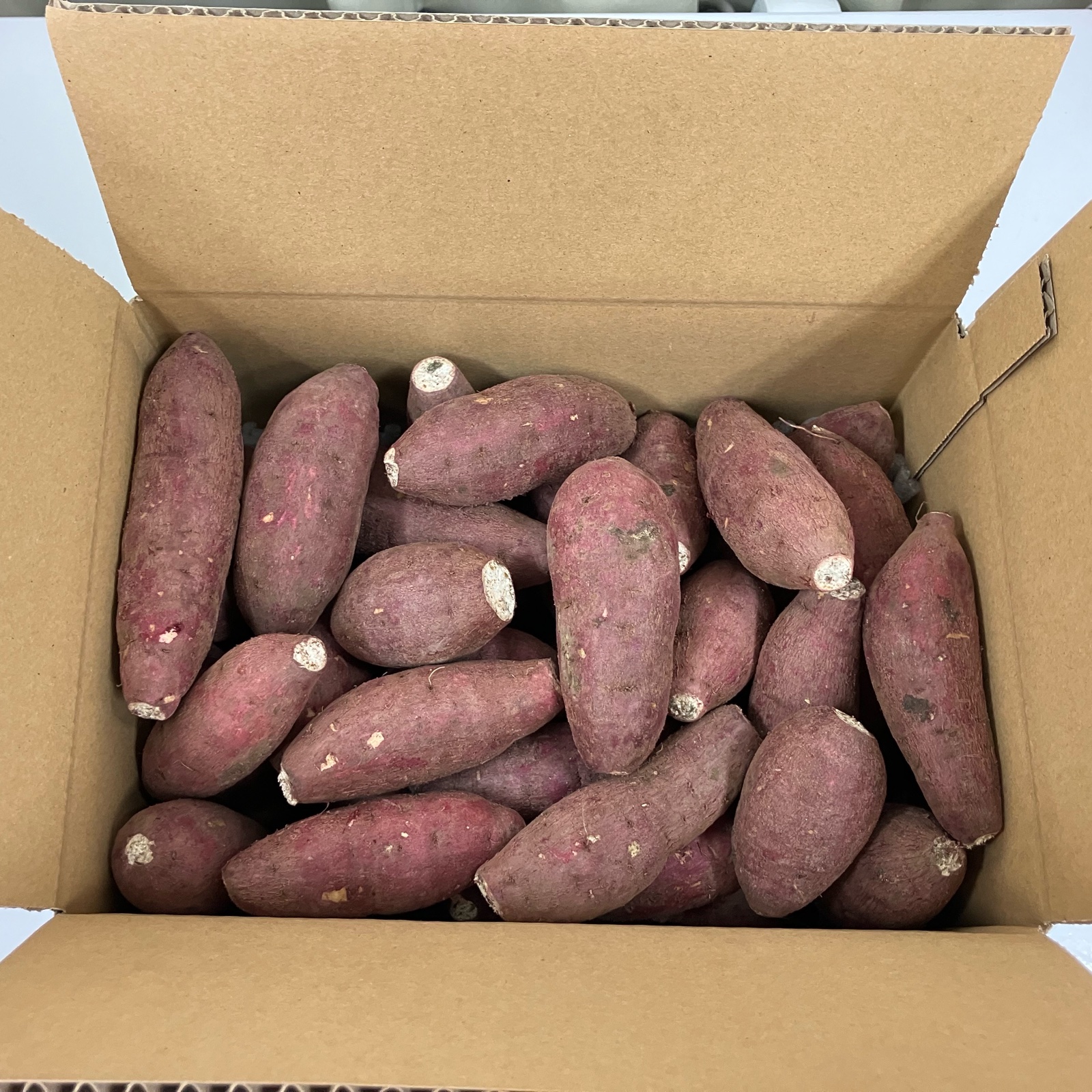 熊本県県産　新物紅はるかA品Mサイズ20キロ 熊本県県産 新物紅はるかA品Mサイズ20キロ