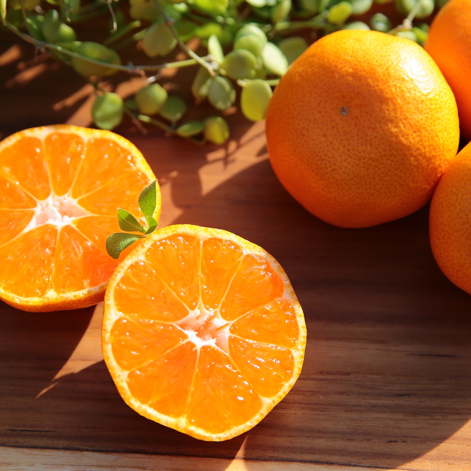 松兵衛みかん5k SSサイズ | 果物/温州みかん 産直アウル 農家から直接