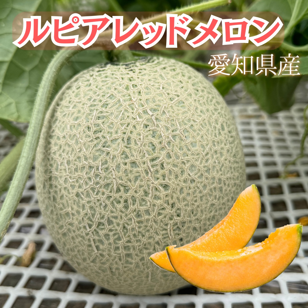 オルフェメロンA品6L5玉 オルフェメロンA品6L5玉
