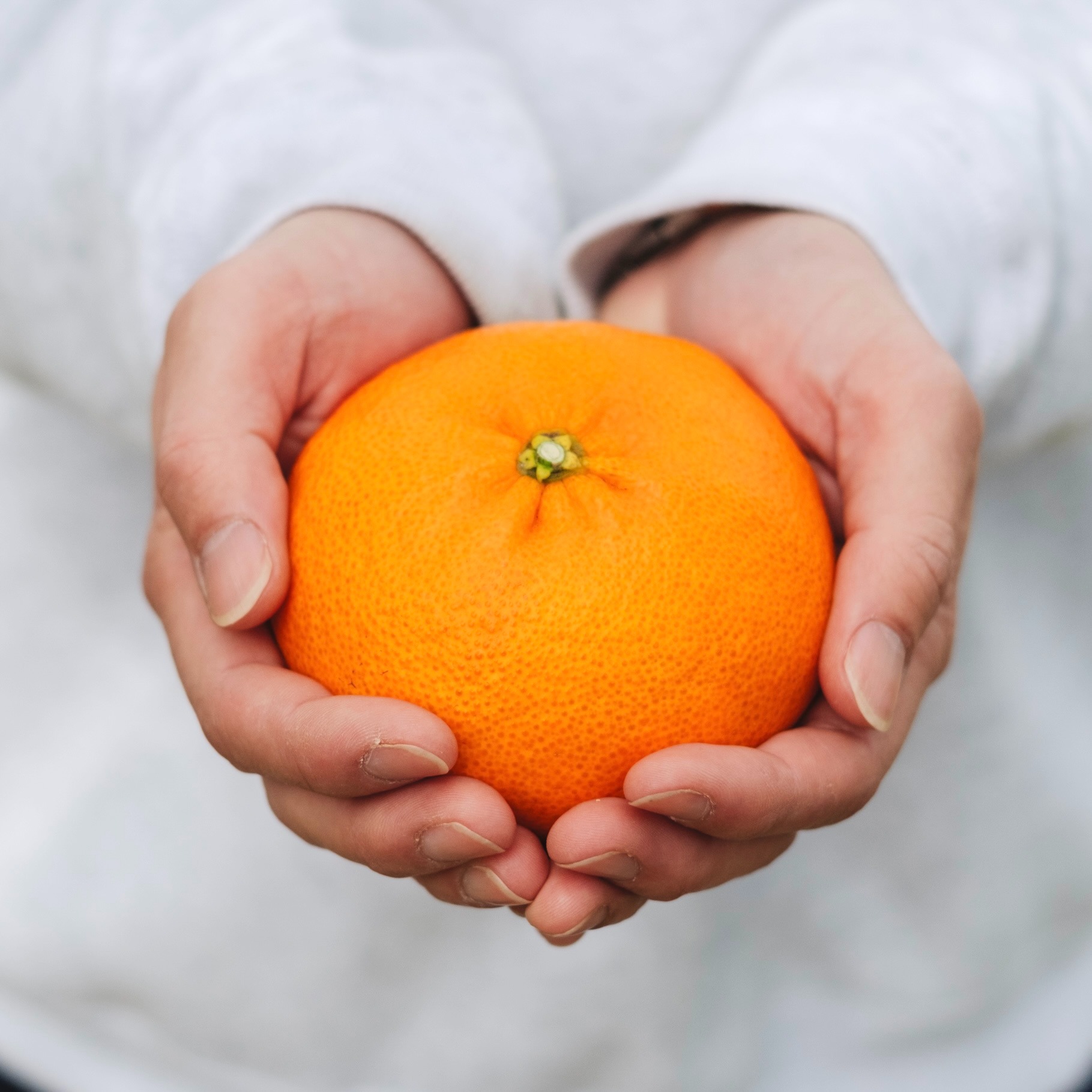 訳ありだけど美味しさそのまま】甘平 5kg 愛媛県産 ｜ 果物/オレンジ