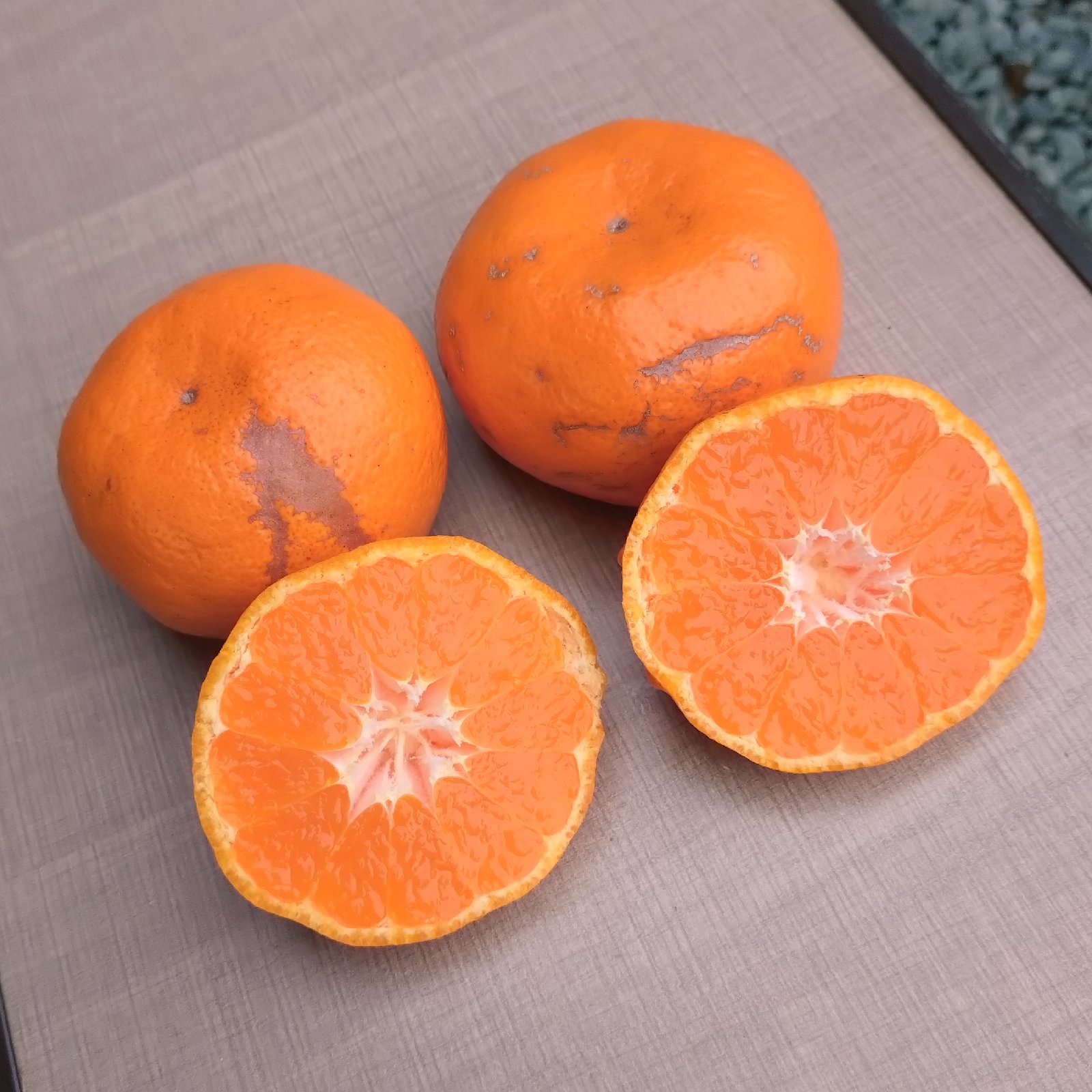 安間農園の三岳みかん🍊【寿太郎】 | 果物/温州みかん 産直アウル 農家