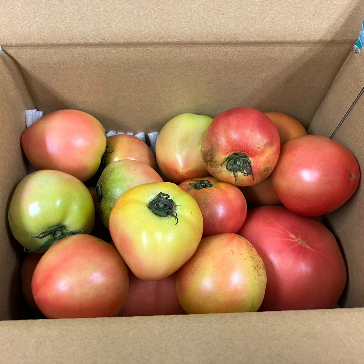 もーちゃん様専用さつまいも 規格外訳あり おまけ付き箱込み20キロ