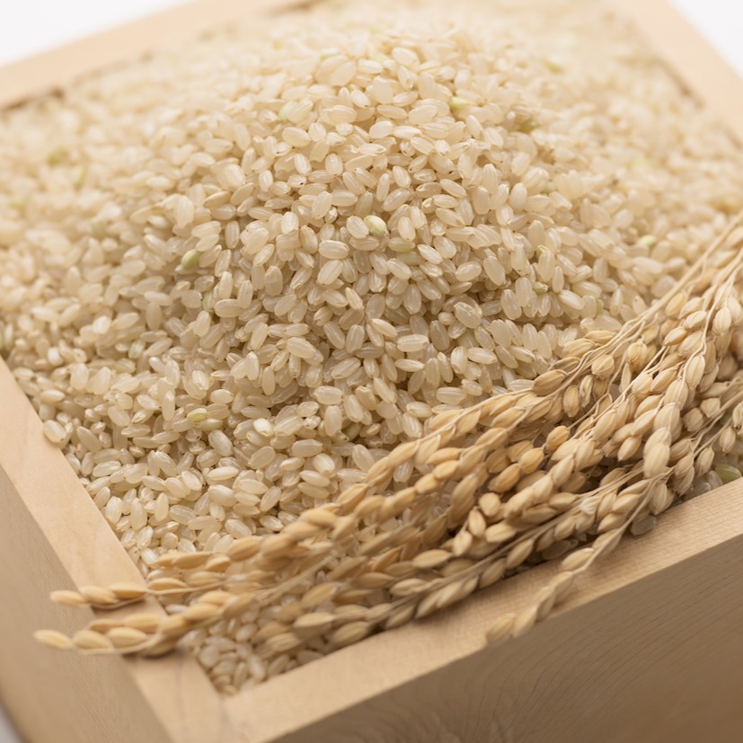 新米‼️令和6年産1等級‼️コシヒカリ玄米30キロ岡山産