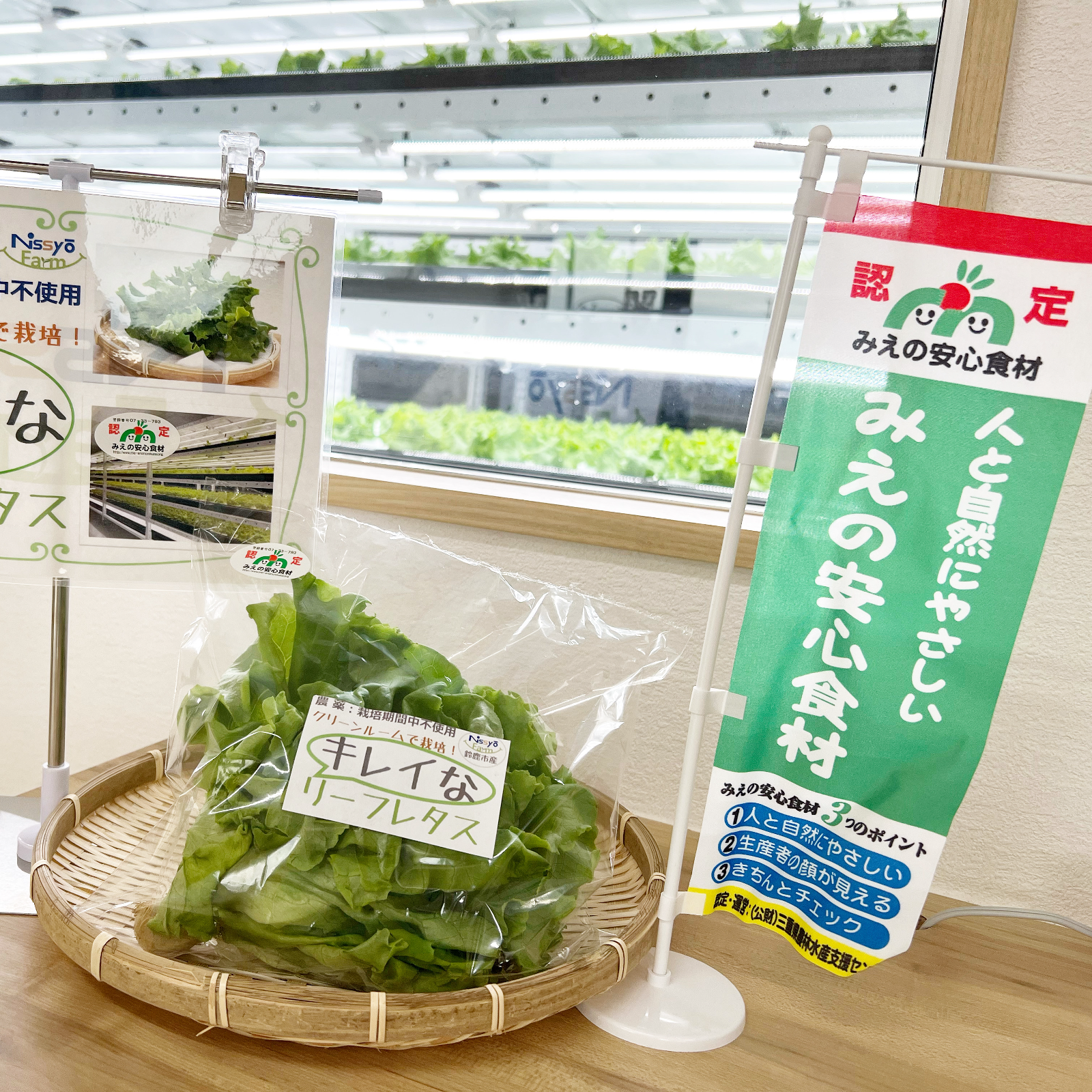 キレイな」リーフレタス【大ぶり10株】 ｜ 野菜/レタス 産直アウル