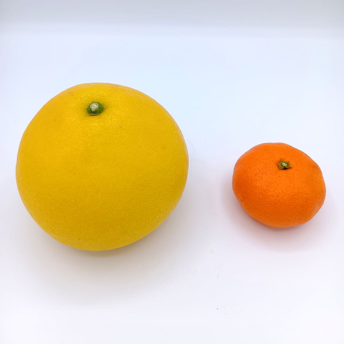 ビッグで上品な甘み！『パール柑』【わけあり 4.0～4.5kg】 | 果物