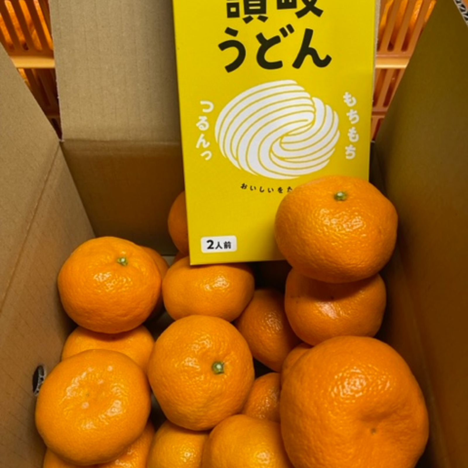 SHIRAHAMATOY BIG KUMON 黄成型/メタ青/オレンジ セット SHIRAHAMATOY BIG KUMON 黄成型/メタ青/オレンジ セット