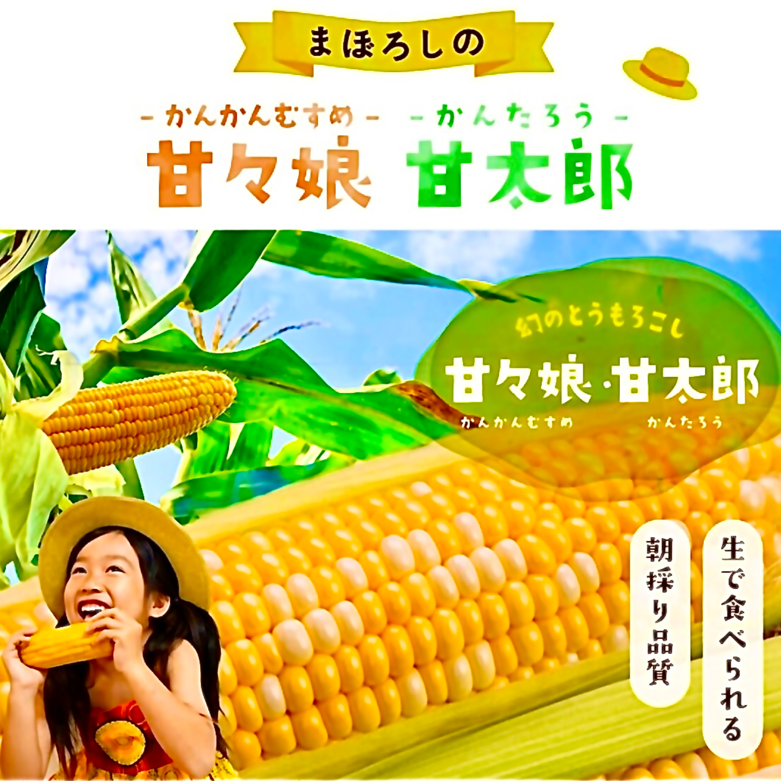 わたあめとうもろこし　予約ページ( ・∇・) わたあめとうもろこし予約ページ( ・∇・)うまし | ヤマダウェブコム