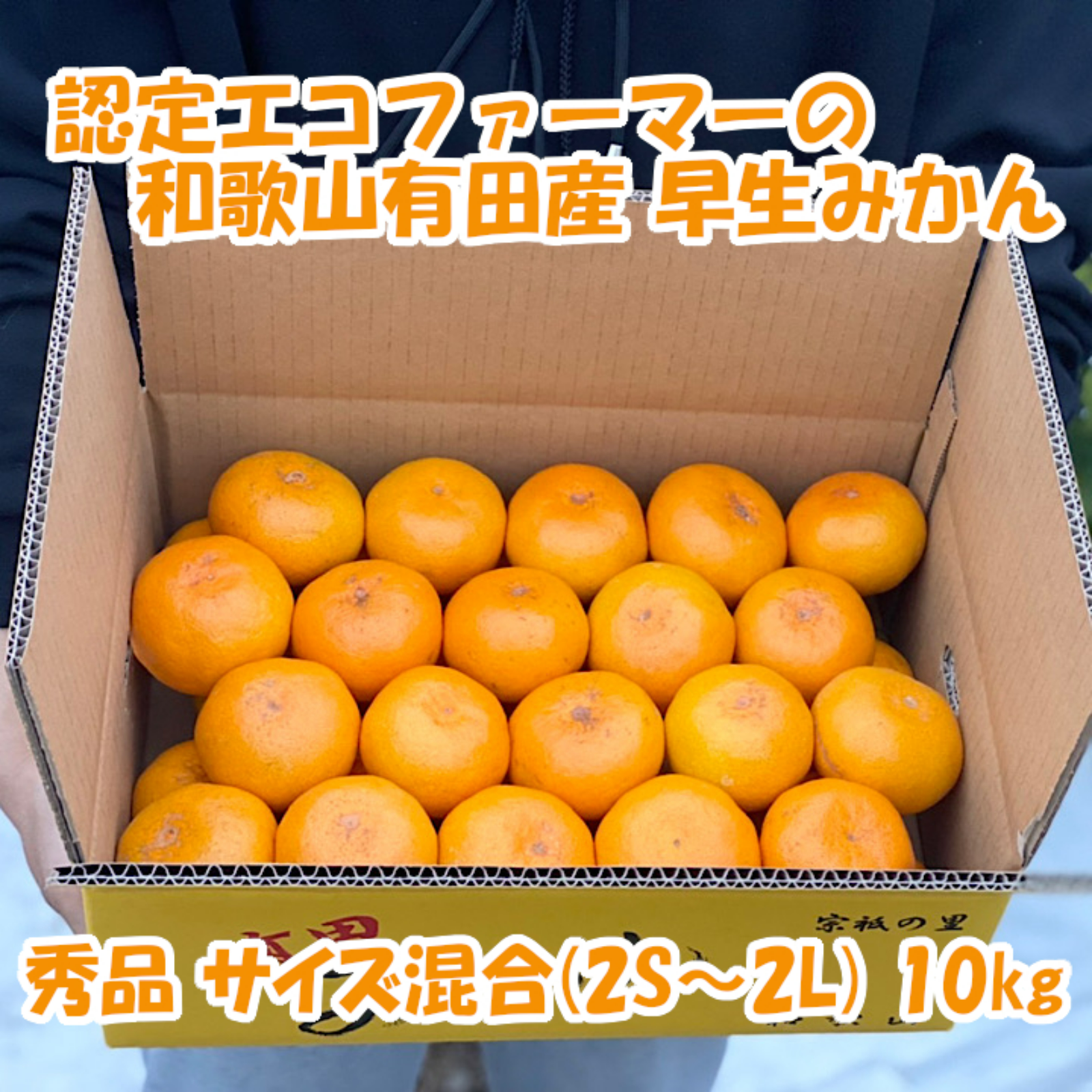 10㎏入り2ケース 有田みかん　純宝丸　早生みかん