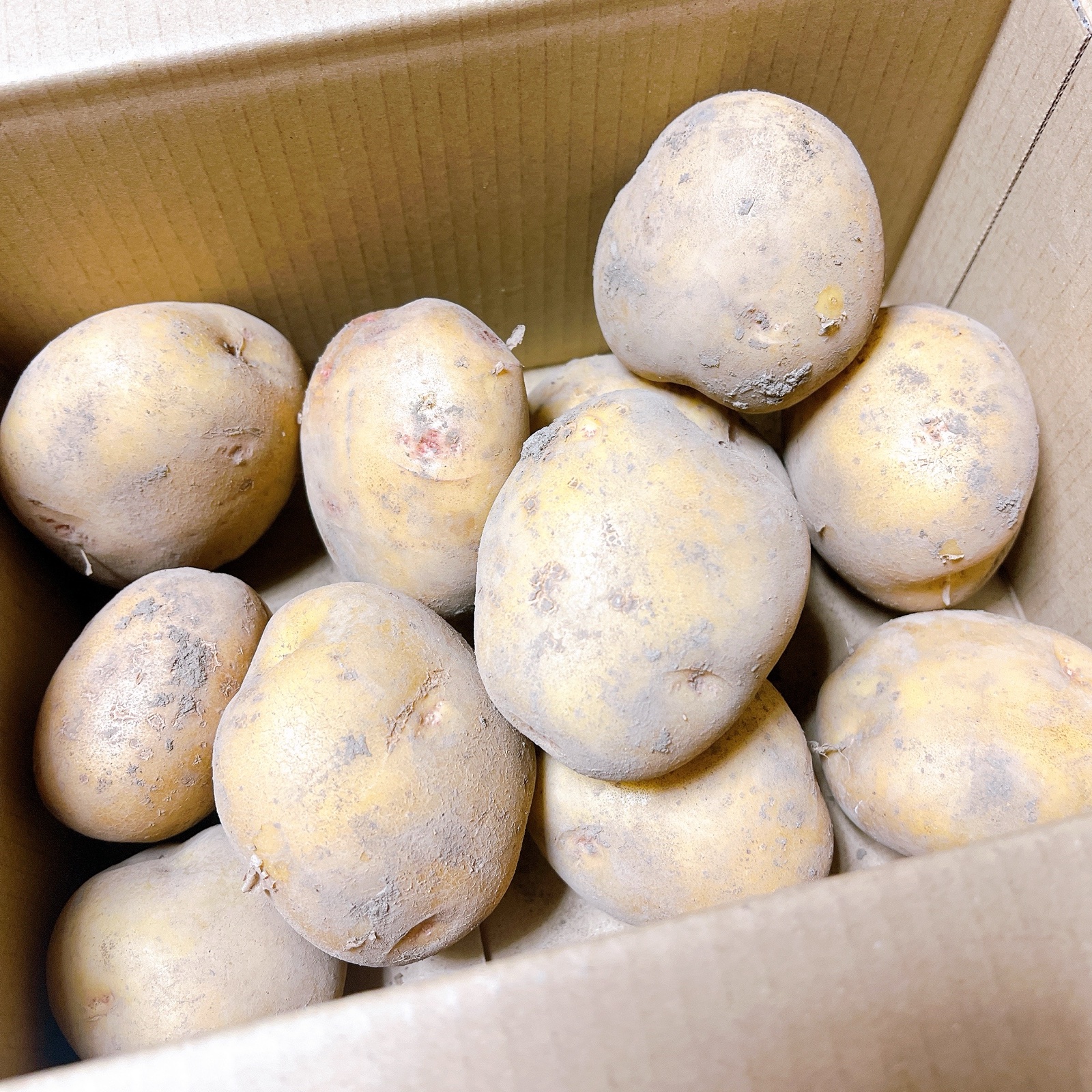 じゃがいも出品 じゃがいも3キロ ｜ 野菜/じゃがいも 産直アウル 農家・漁師など生産者