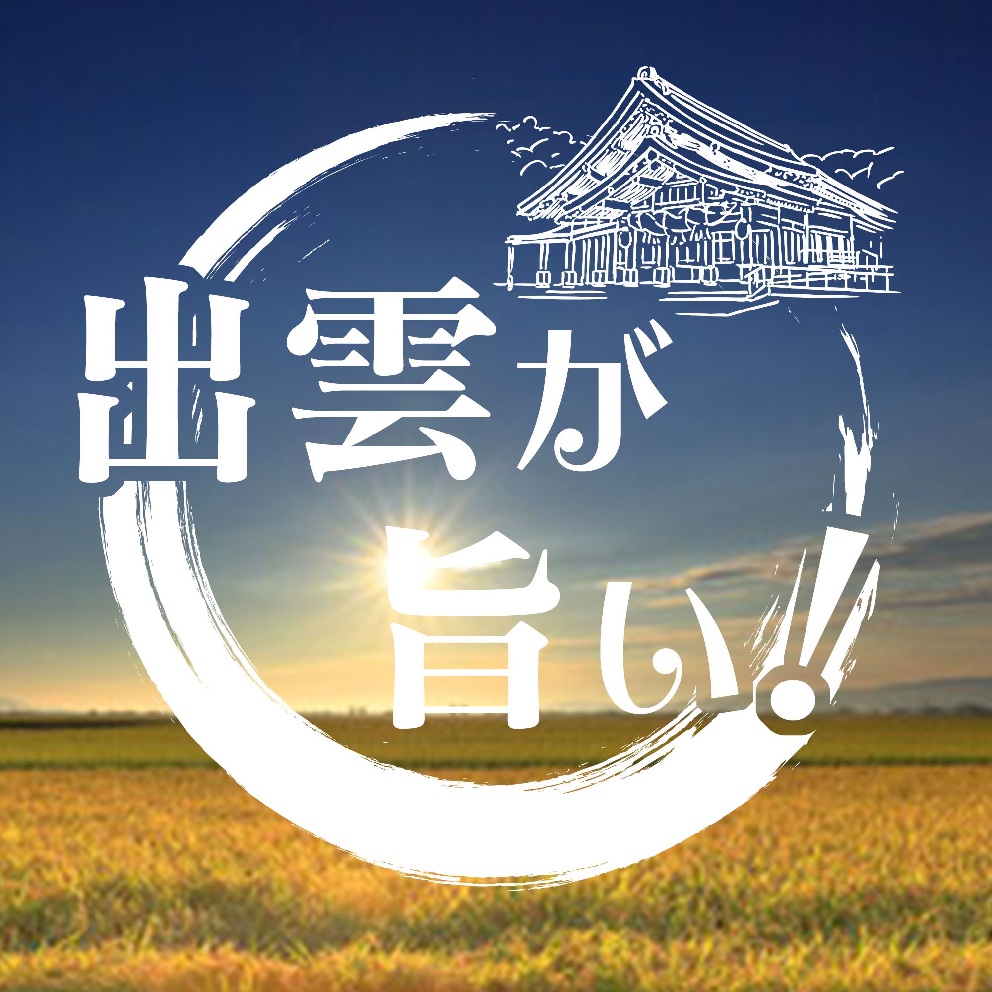 予約限定‼10月お届け‼】 特別栽培米 令和6年度新米 シン・コシヒカリ
