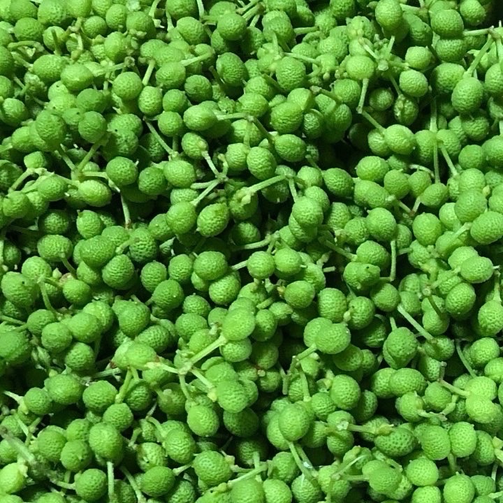 ぶどう山椒600g ｜ 野菜/薬味 産直アウル 農家・漁師など生産者から