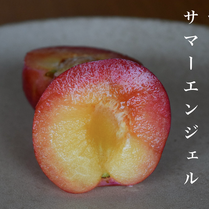 すもも・サマーエンジェル｜甘酸っぱい濃厚な味わい栽培者イチオシの