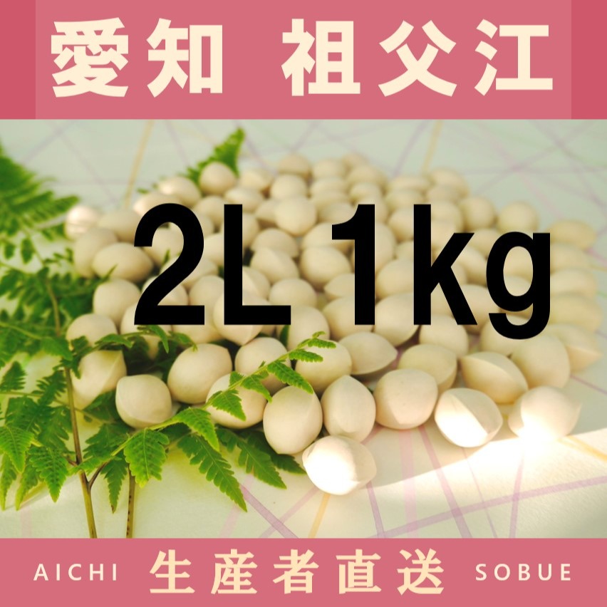 2026年新物 久寿 銀杏 ぎんなん祖父江産 3L 10kg 2026年新物！ 愛知県 祖父江産 久寿 銀杏 ぎんなん 2L 1kg ☆秋の味覚