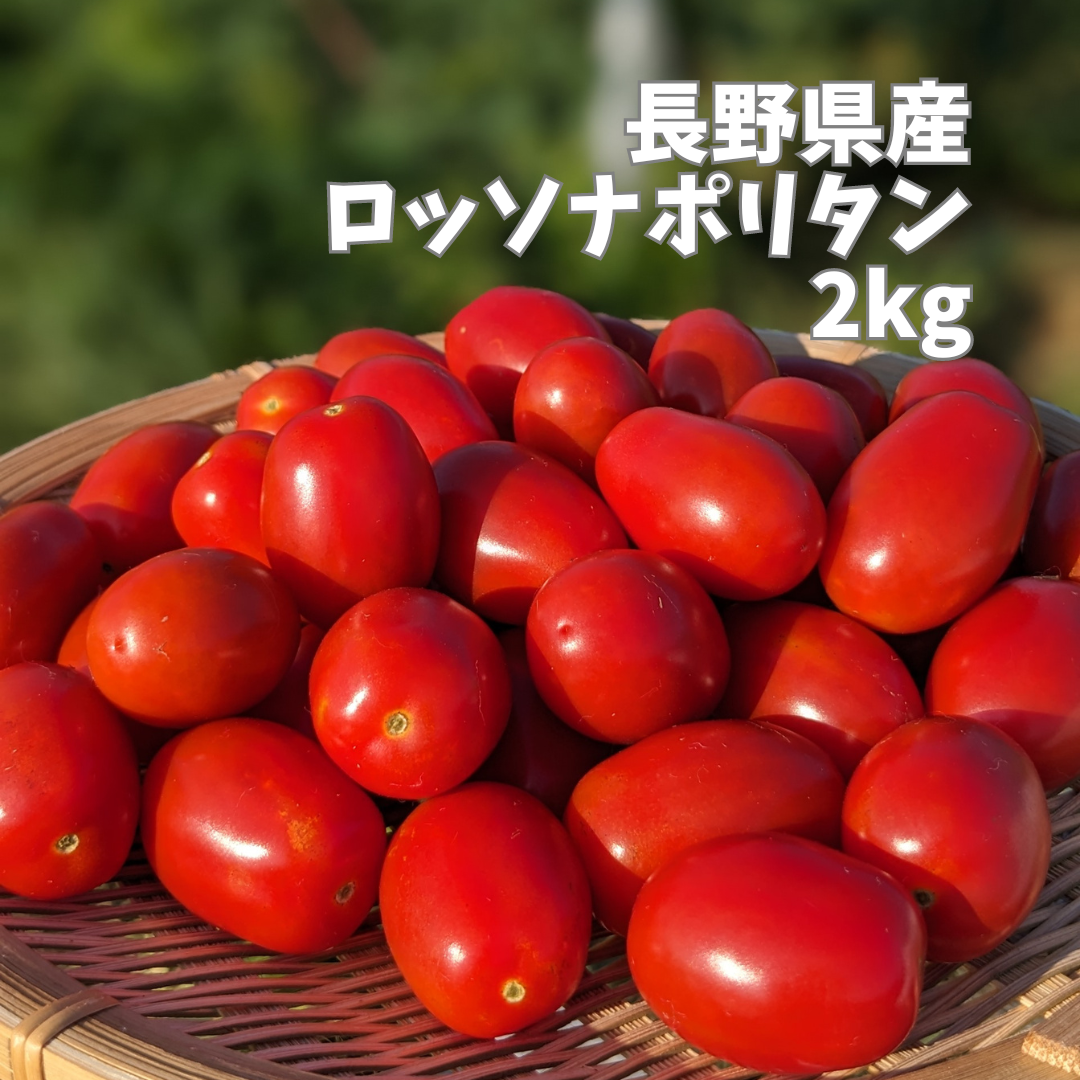 完熟濃厚ミニトマト ロッソナポリタン 2kg ｜ 野菜/トマト 産直アウル