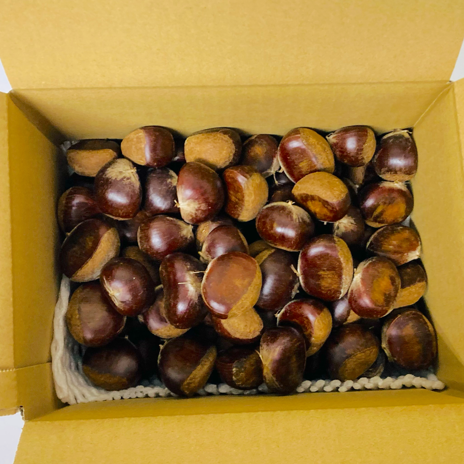 熊本県産 栗 利平栗【約2kg入り 】 訳あり 規格外【002】クール冷蔵便