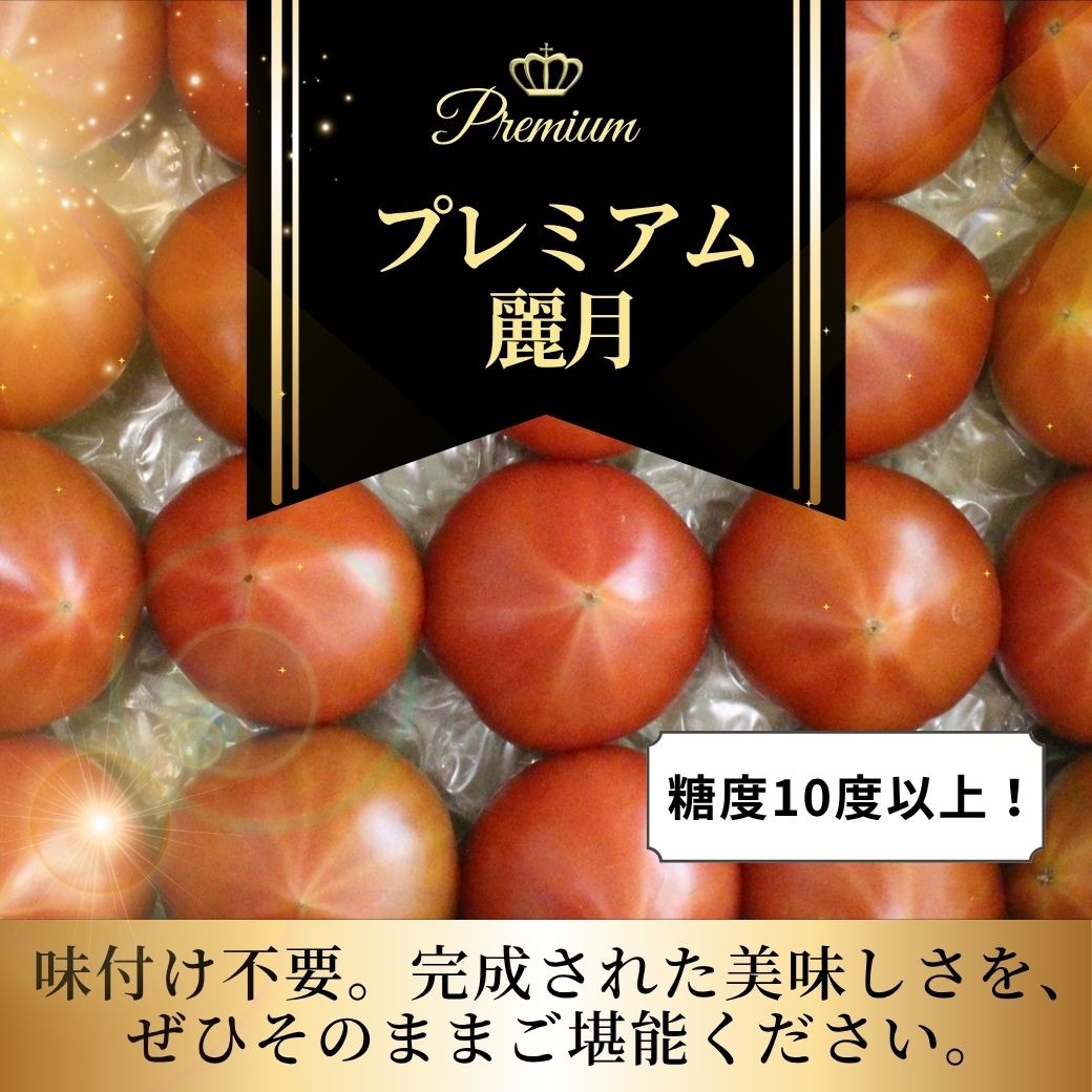 糖度10度以上!最高ランク！プレミアム麗月 ｜ 野菜/トマト 産直アウル 