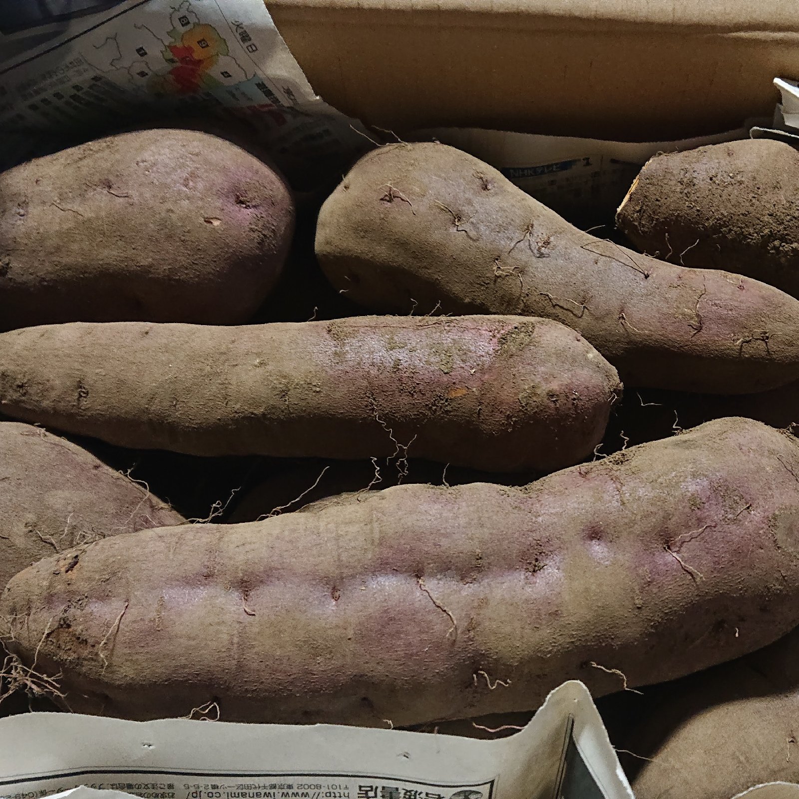 熟成さつまいも(3キロ、紅あずま、期間限定) | 野菜/野菜セット