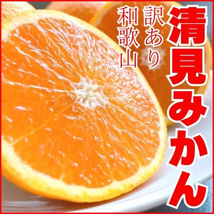 清見オレンジ 訳あり 5kg 減農薬 産地直送 濃厚 甘い 高糖度 | 果物 