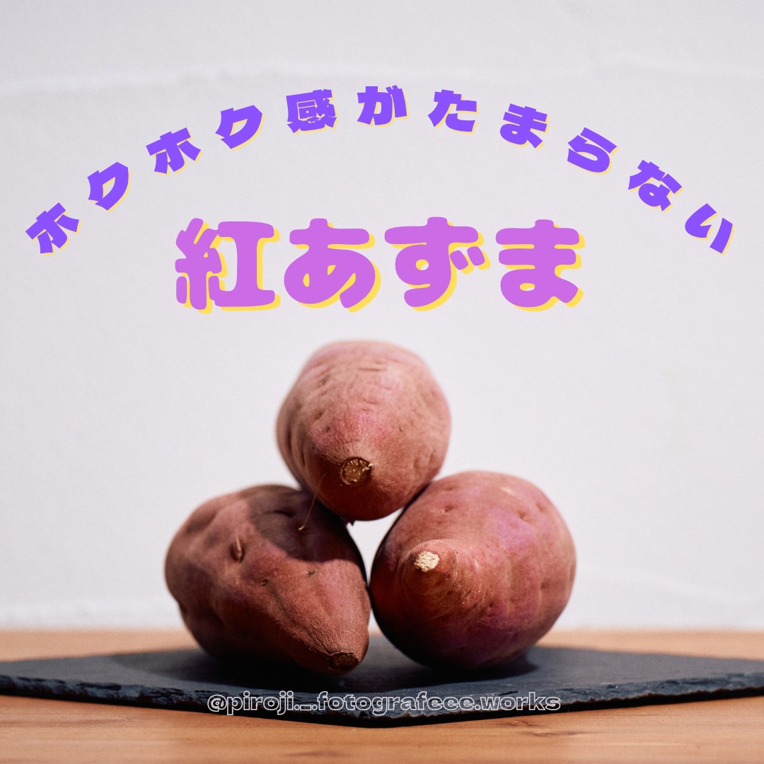 特大サイズ】