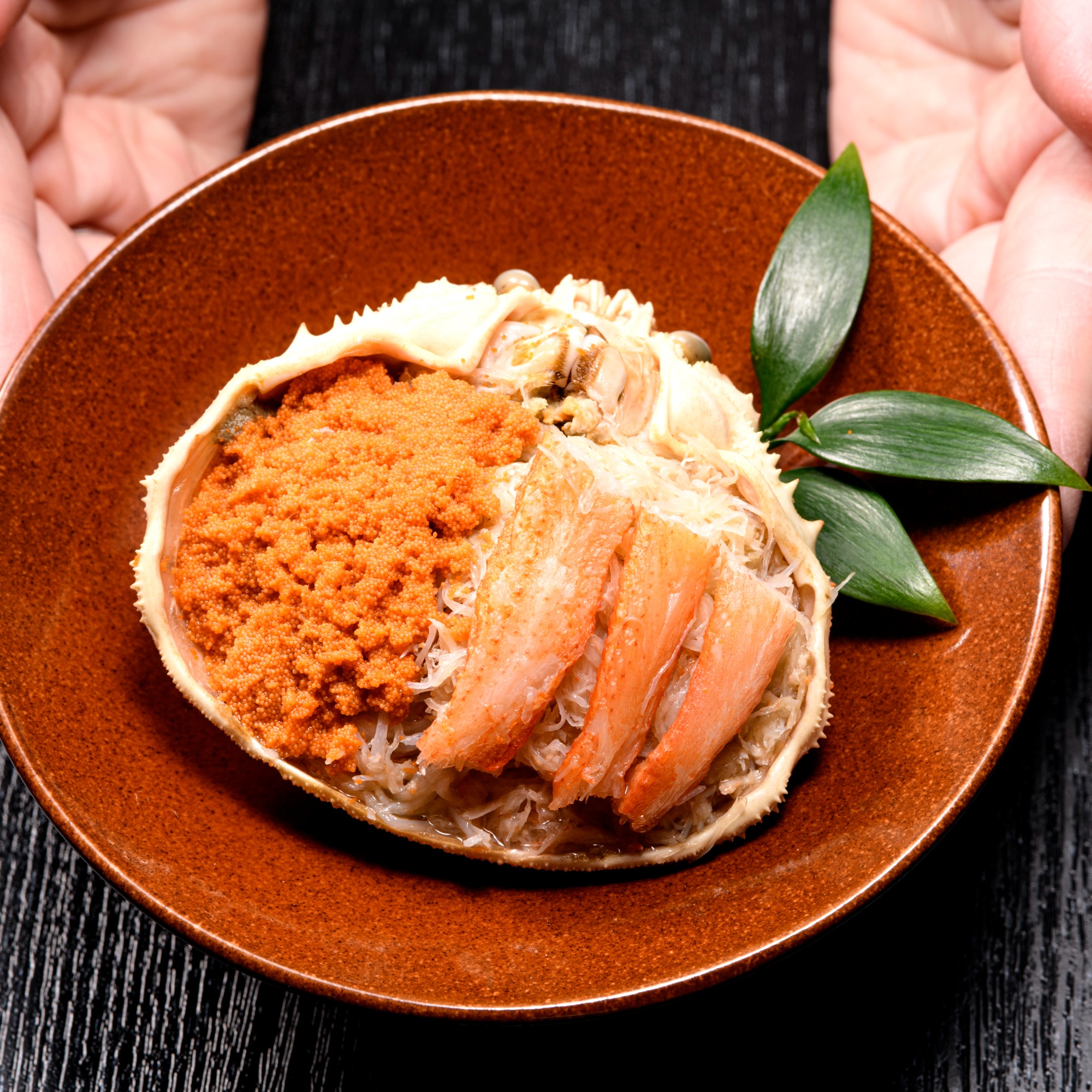 【2メスセット】オオイチモンジ（北海道白滝産）