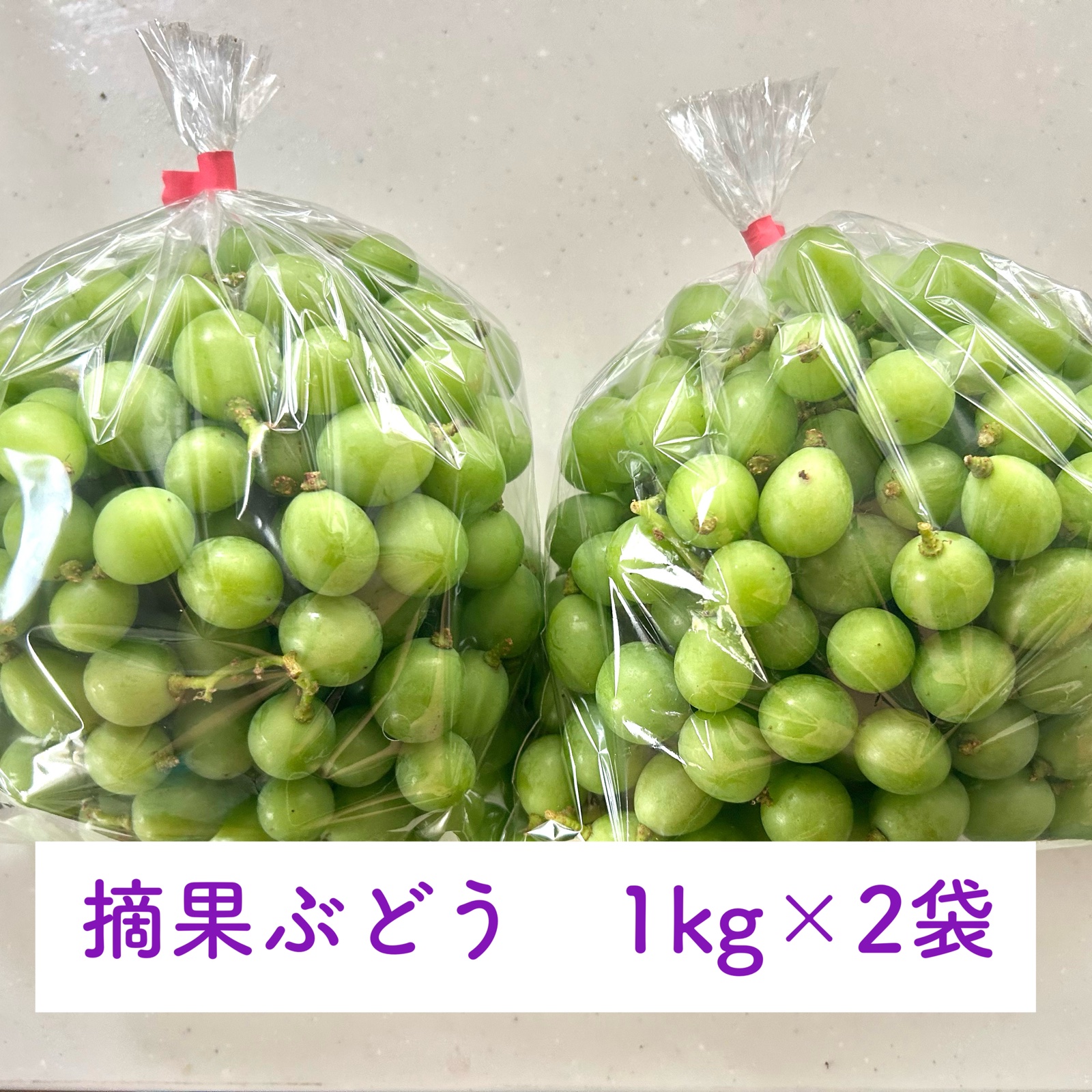 きのこの森（宮崎県・宮崎市）｜生産者詳細｜産直アウル
