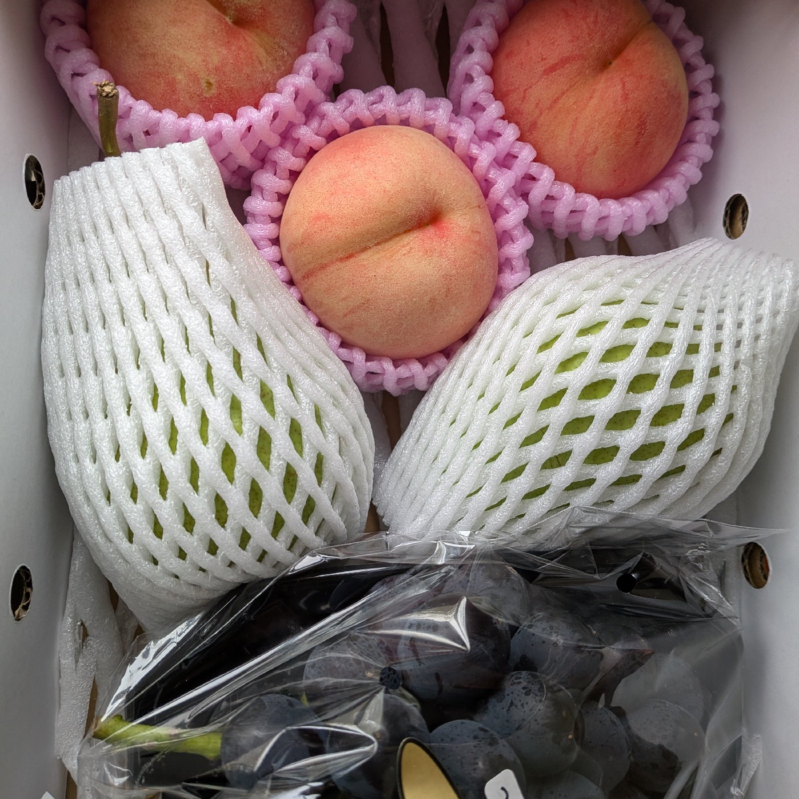 ツキノワグマ】「手」960g 青森県産 ｜ 青森県産フルーツセット 果物