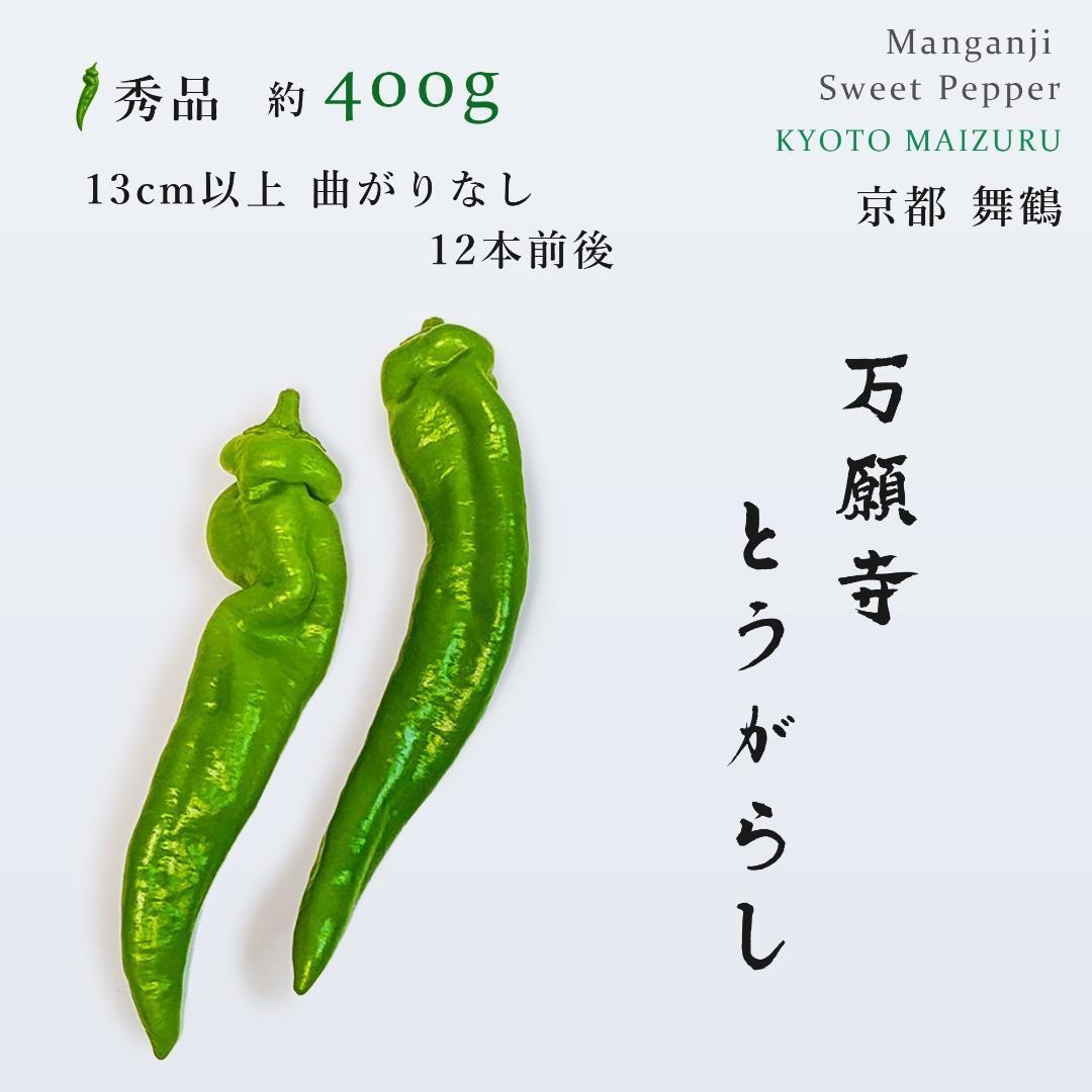 【京都・舞鶴産】朝採れ直送 万願寺とうがらし-良品8.5㌔以上 【京都・舞鶴産】朝採れ直送 万願寺とうがらし-良品8.5㌔以上