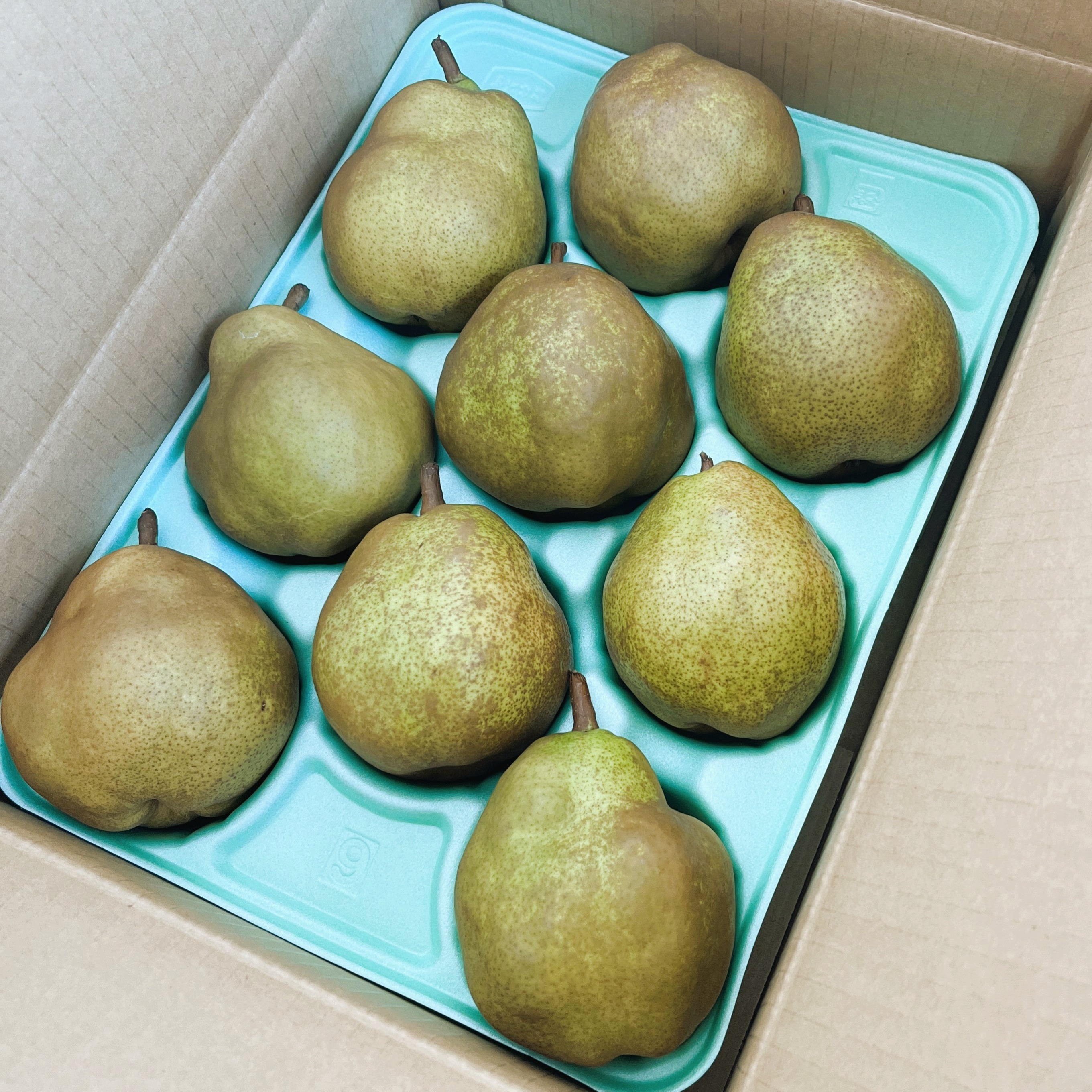 山形県産 「ラ・フランス」 家庭用3kg ｜ 果物/梨 産直アウル 農家