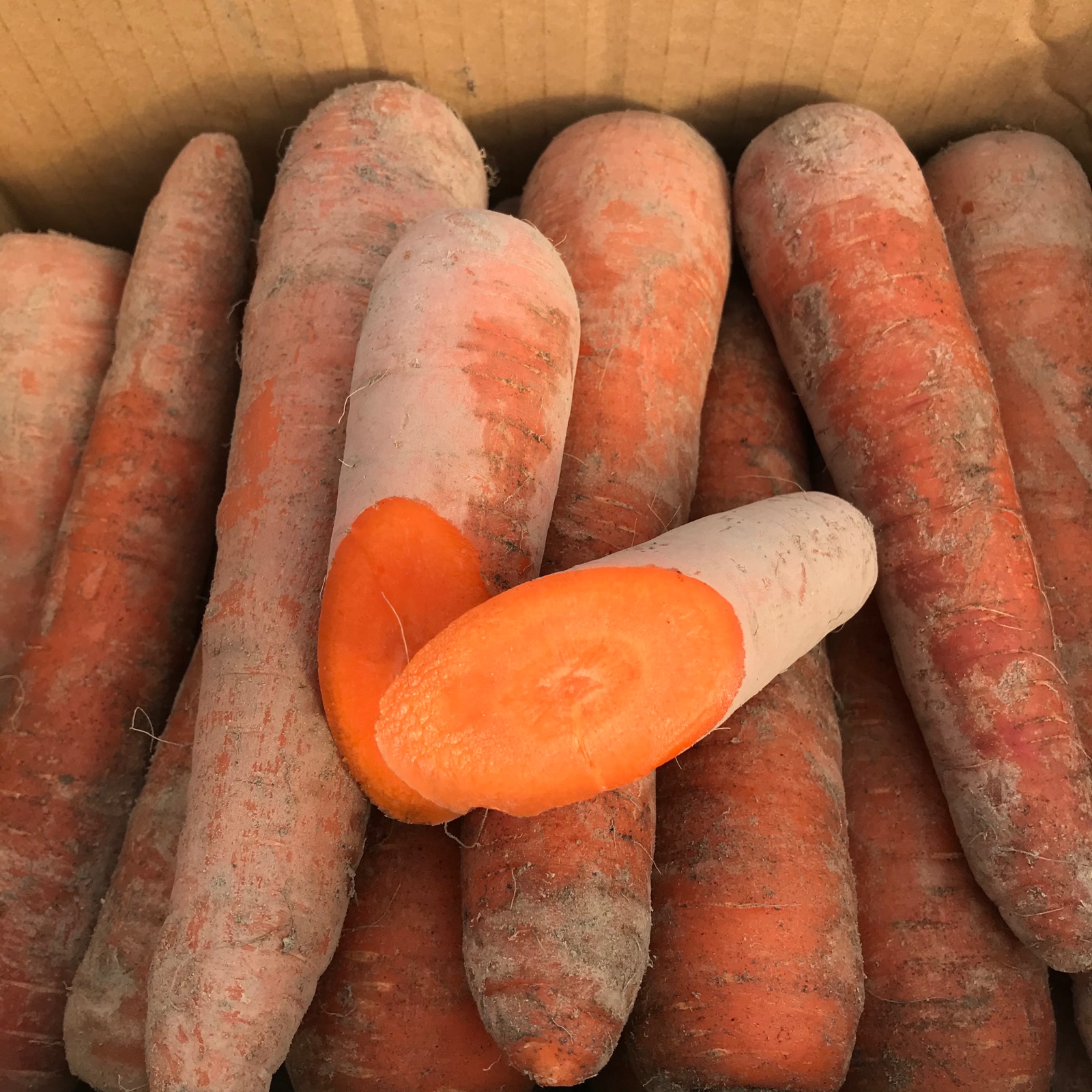 小売 はちどり様 北海道産人参20キロ 北海道富良野産 洗い人参