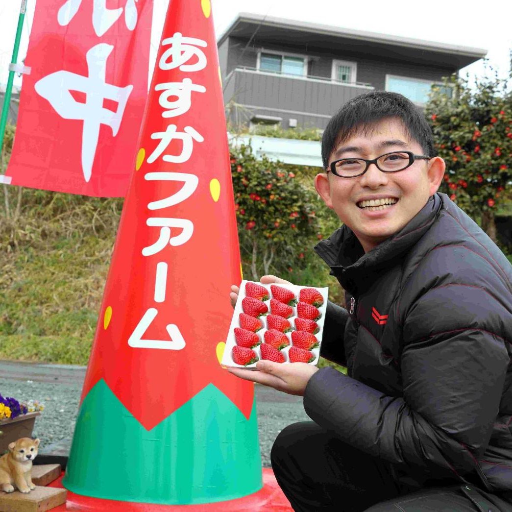 超特大サイズいちご 拳と同じくらい大きいいちご 甘くて味が濃くて