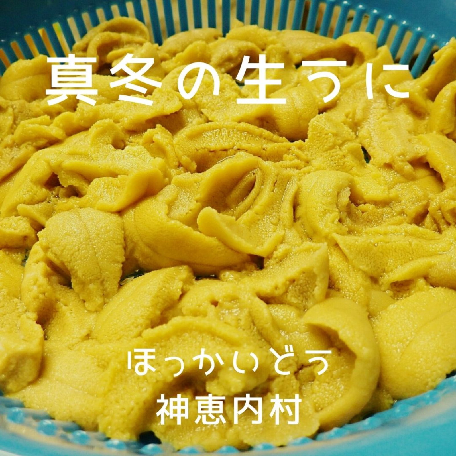 うにぴさま 専用 2026年先行予約】 長根水産 牛乳瓶入 生うに 150g 3本 計450g 無添加