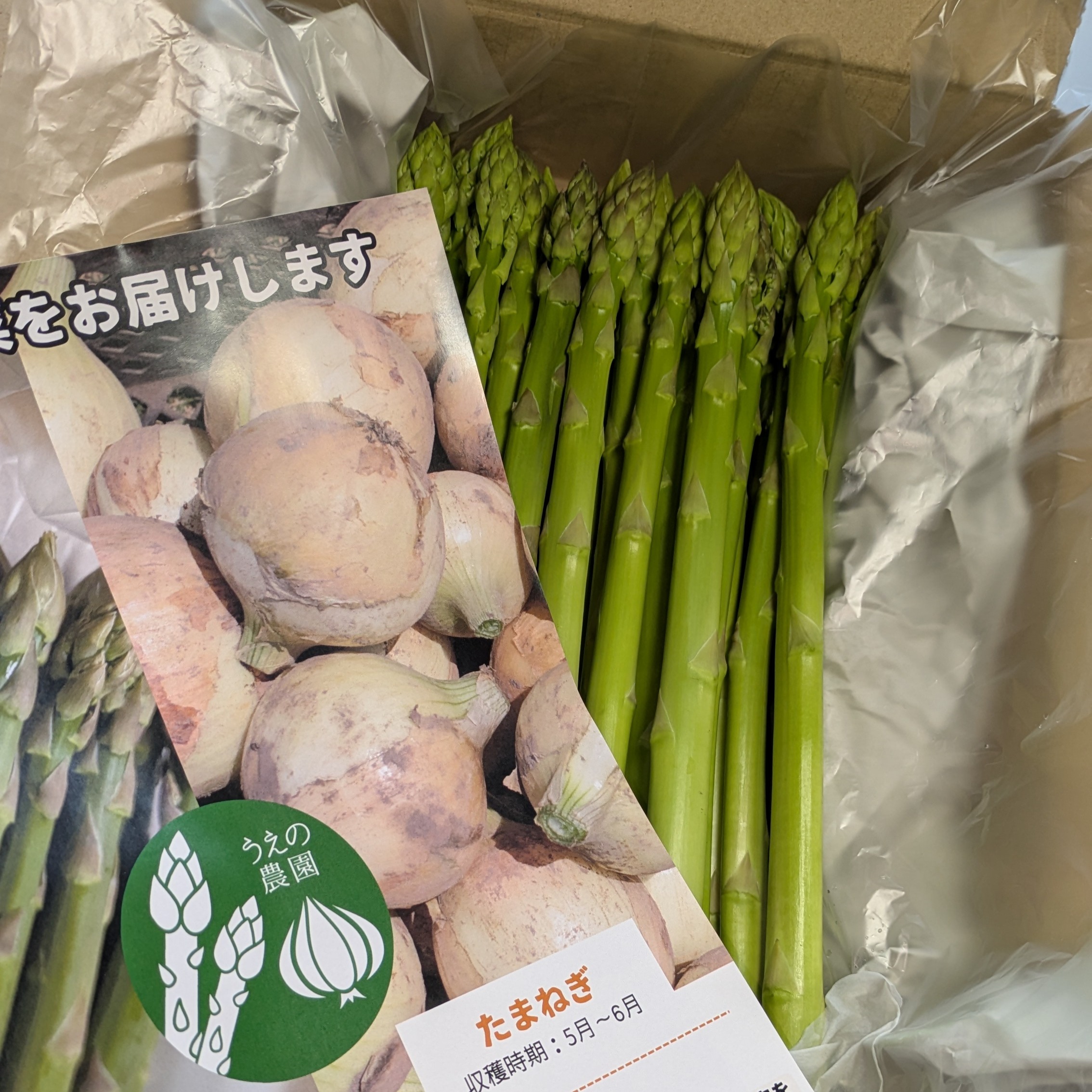 うえの農園の朝採りグリーンアスパラガス サイズ：L 1kg ｜ 野菜